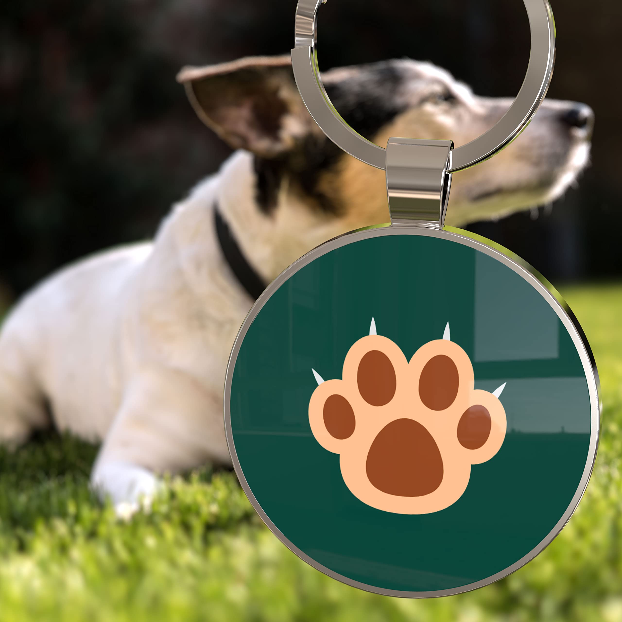 QR code pet tag Pet paws-NO.140627