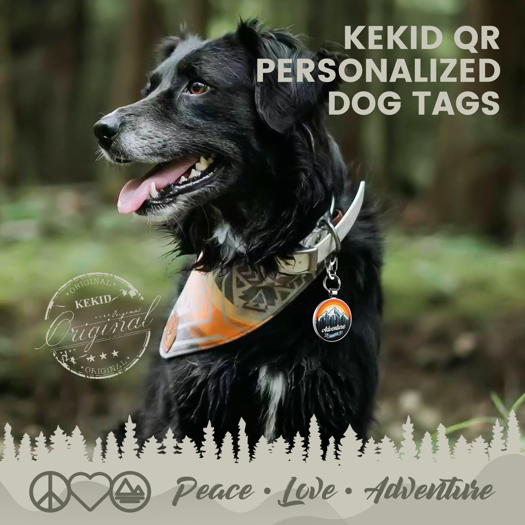 Alloy ID QR code pet tag-Adventure