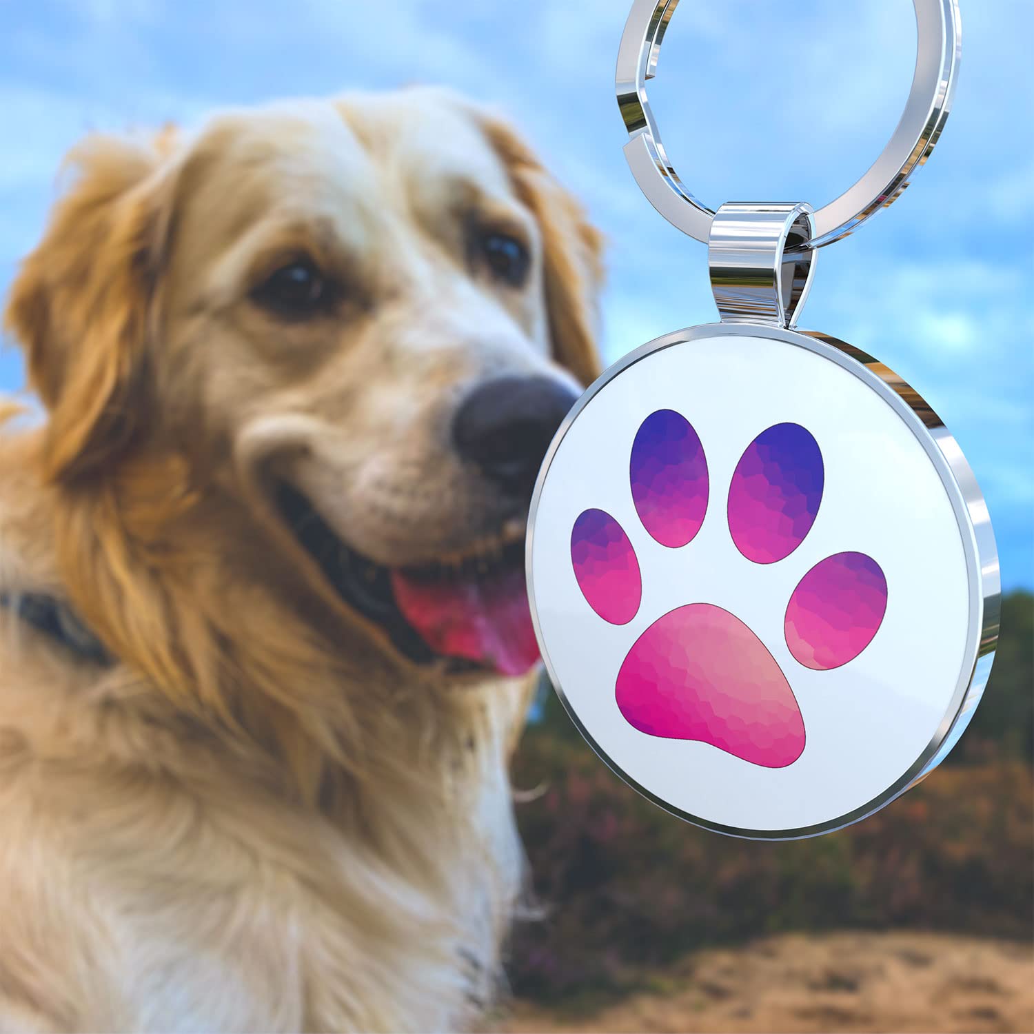 QR code pet tag Pet paws-NO.140610