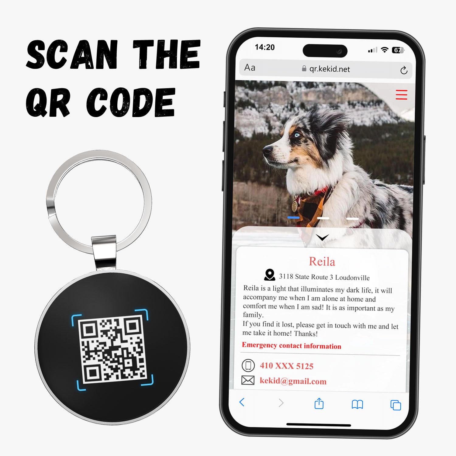 Alloy ID QR code pet tag-Adventure