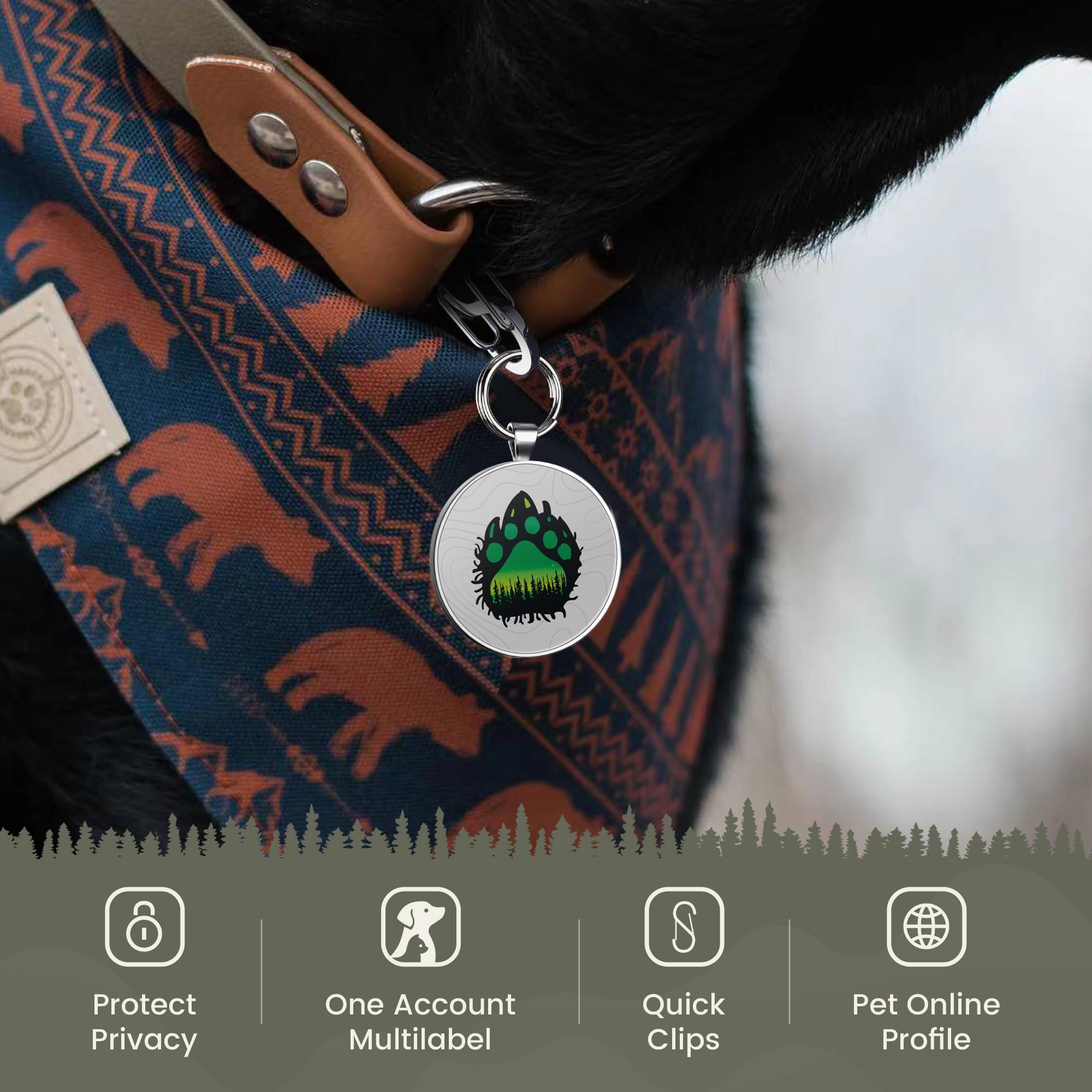 Quick clips QR code pet tag-Green Paw