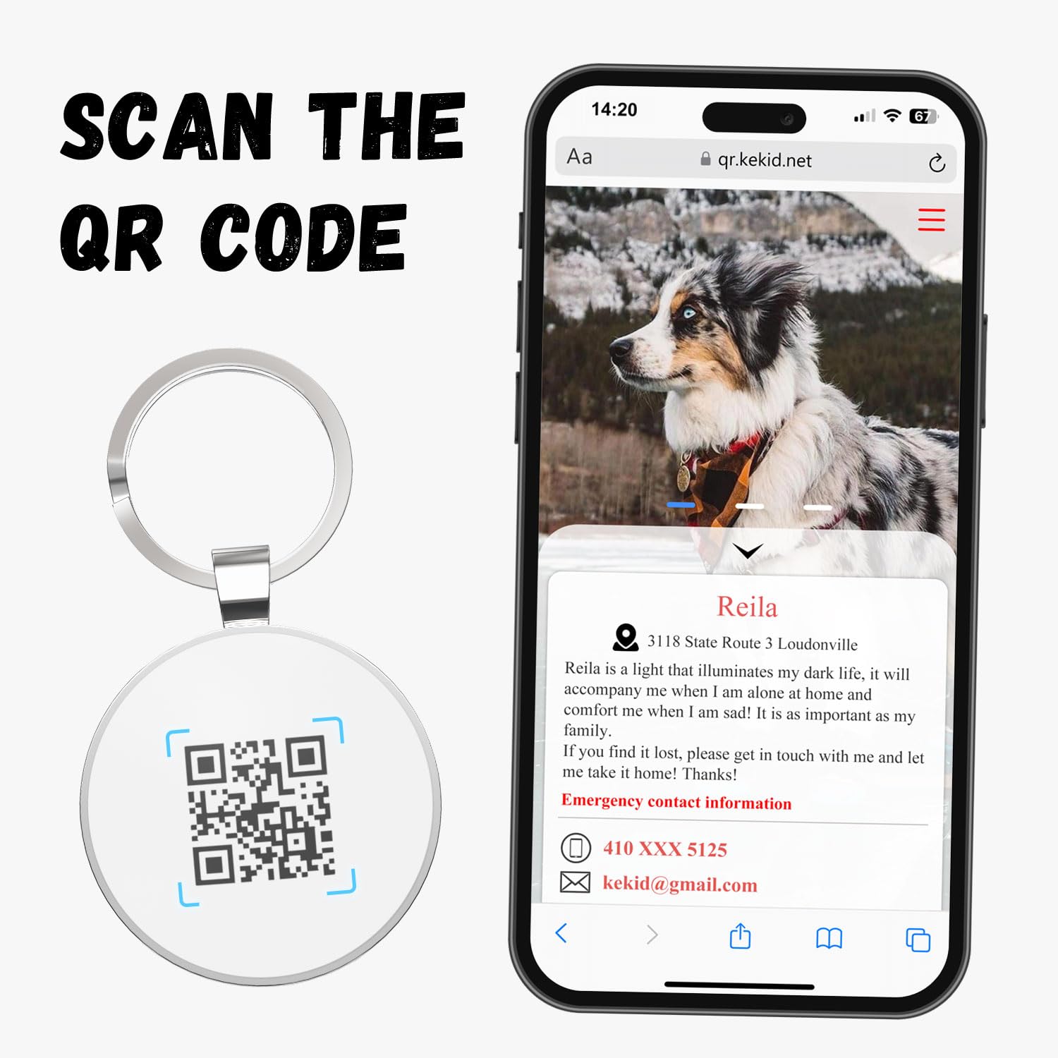 QR code pet tag Pet paws-NO.140610