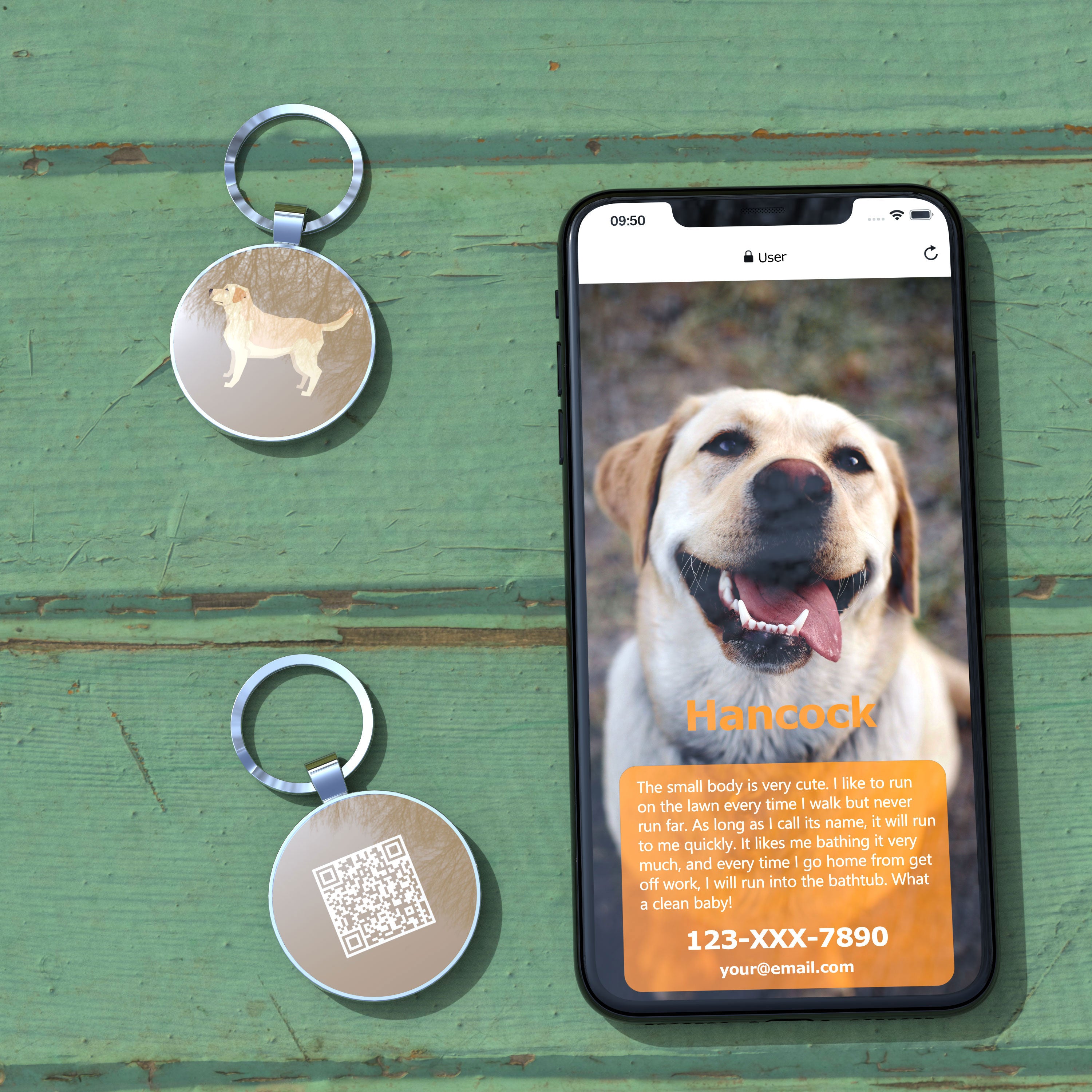 QR code pet tag Dog breeds tags-Labrador Retriever