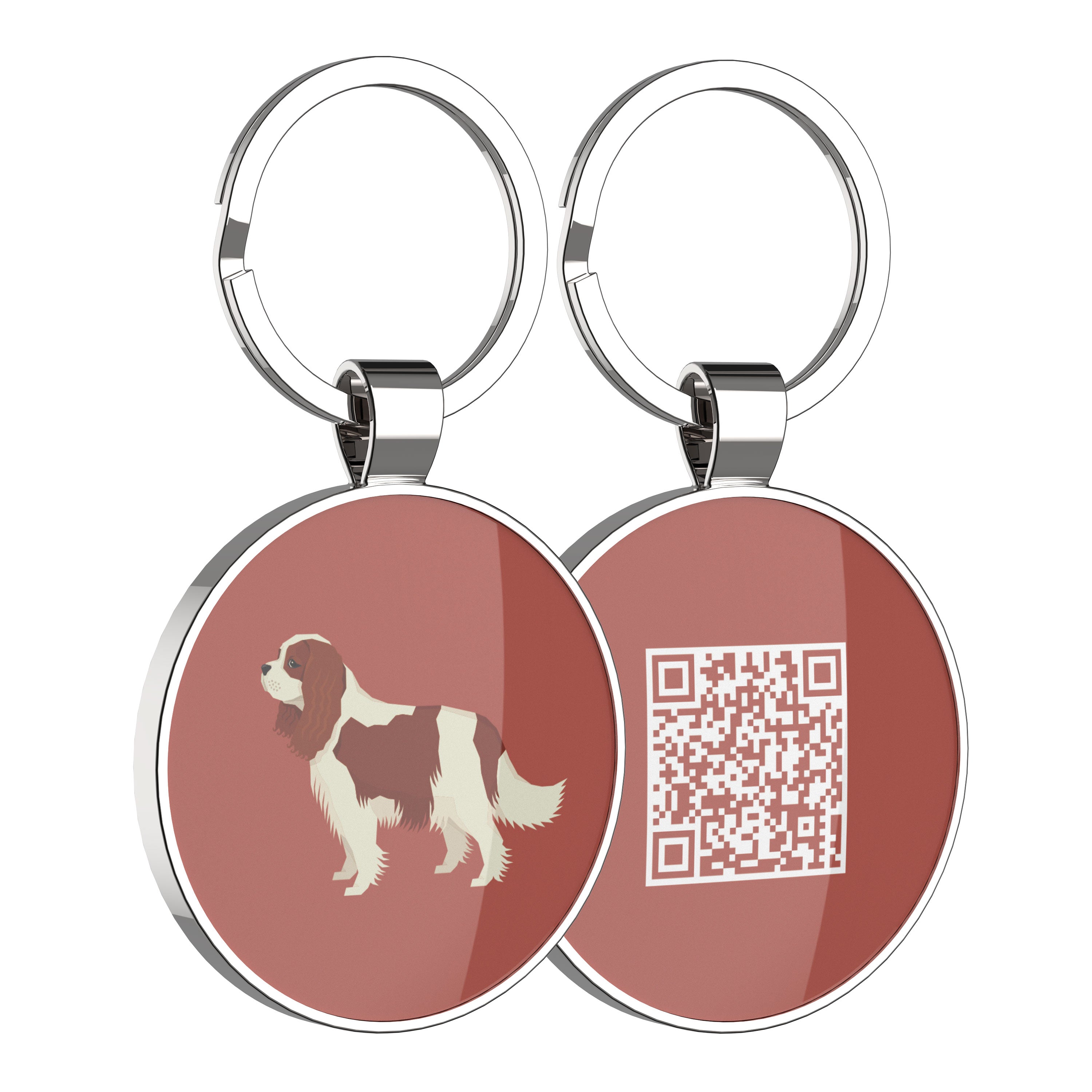 QR code pet tag Dog breeds tags-Cavalier King Charles Spanie