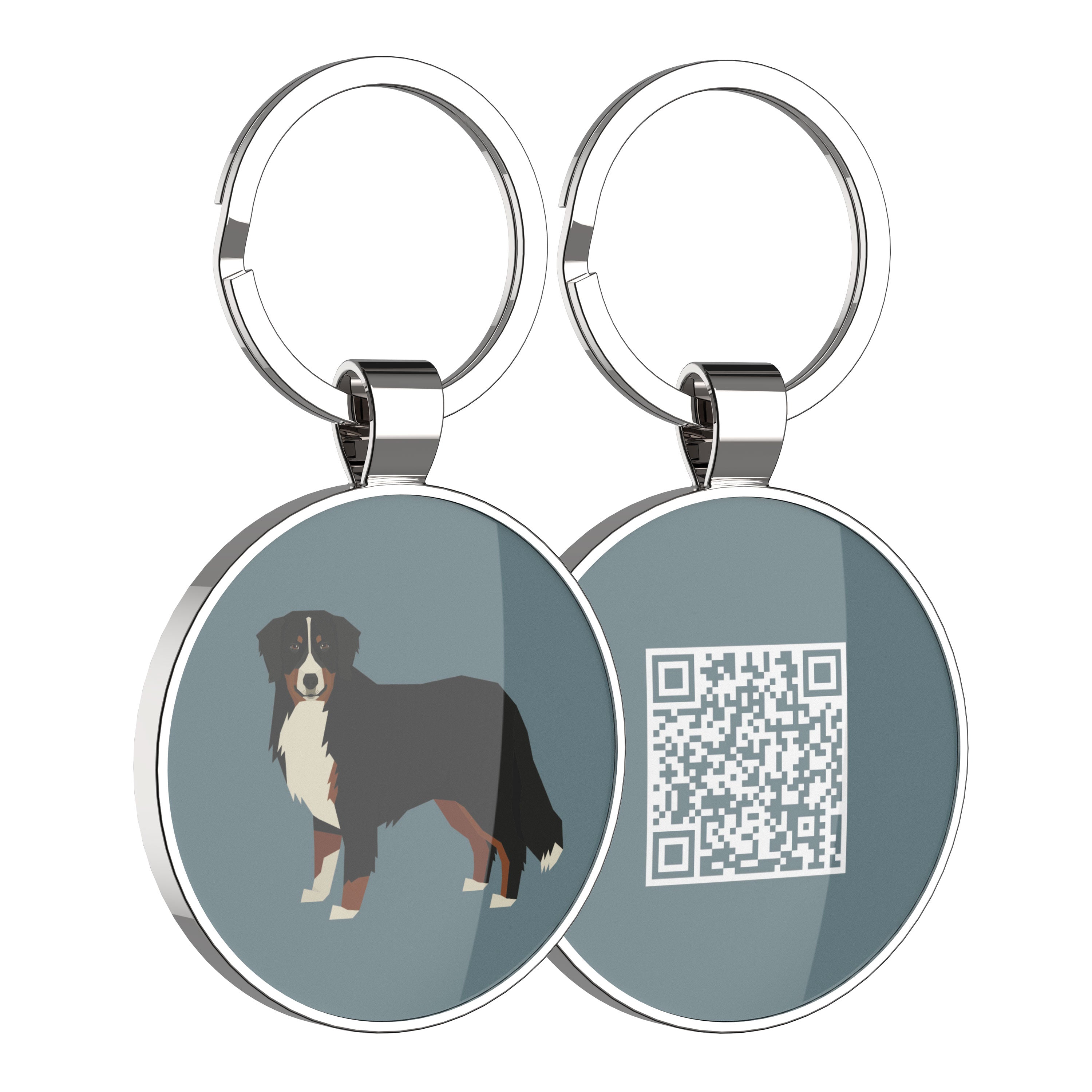 QR code pet tag Dog breeds tags-Bernese Mountain