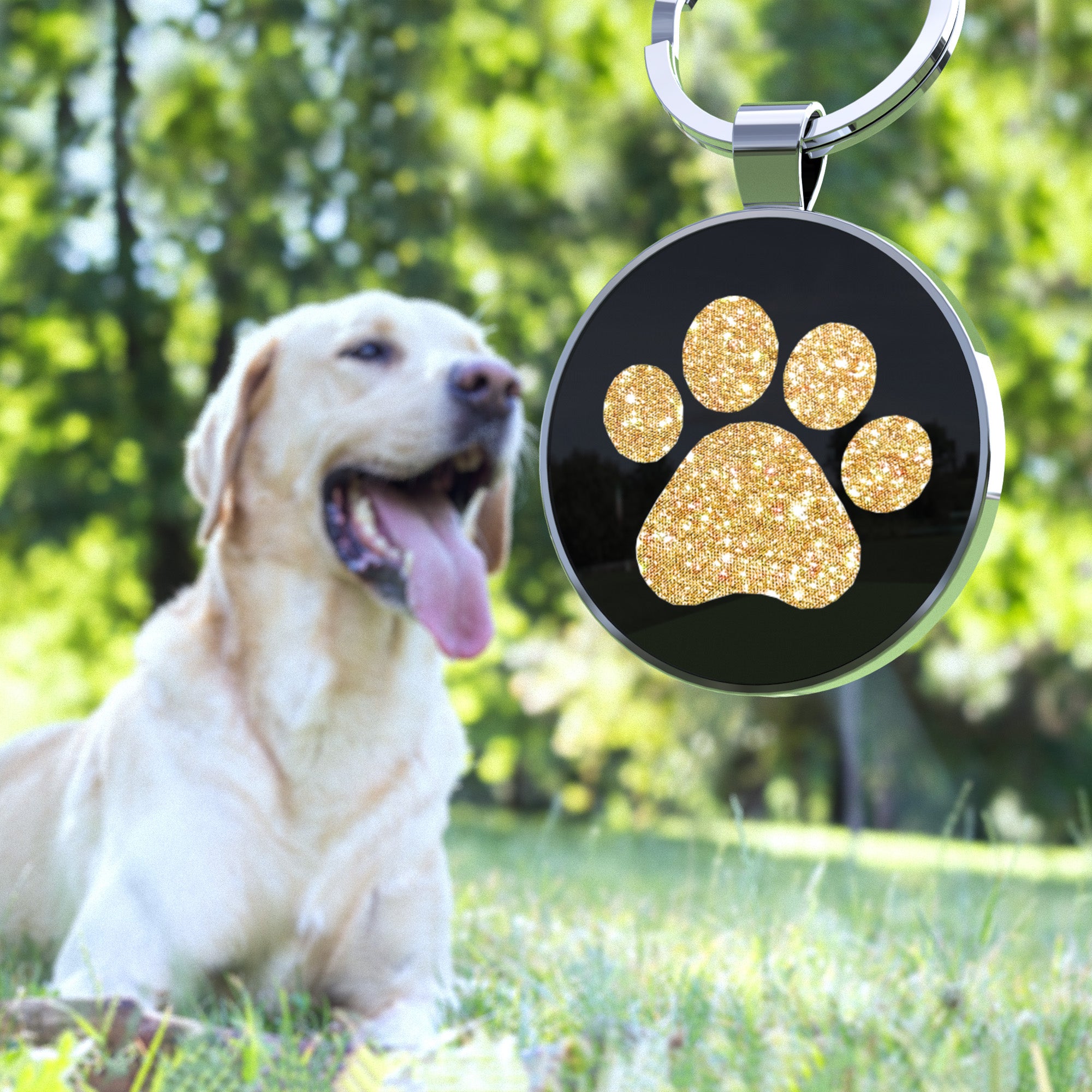 QR code pet tag Pet paws-NO.150607