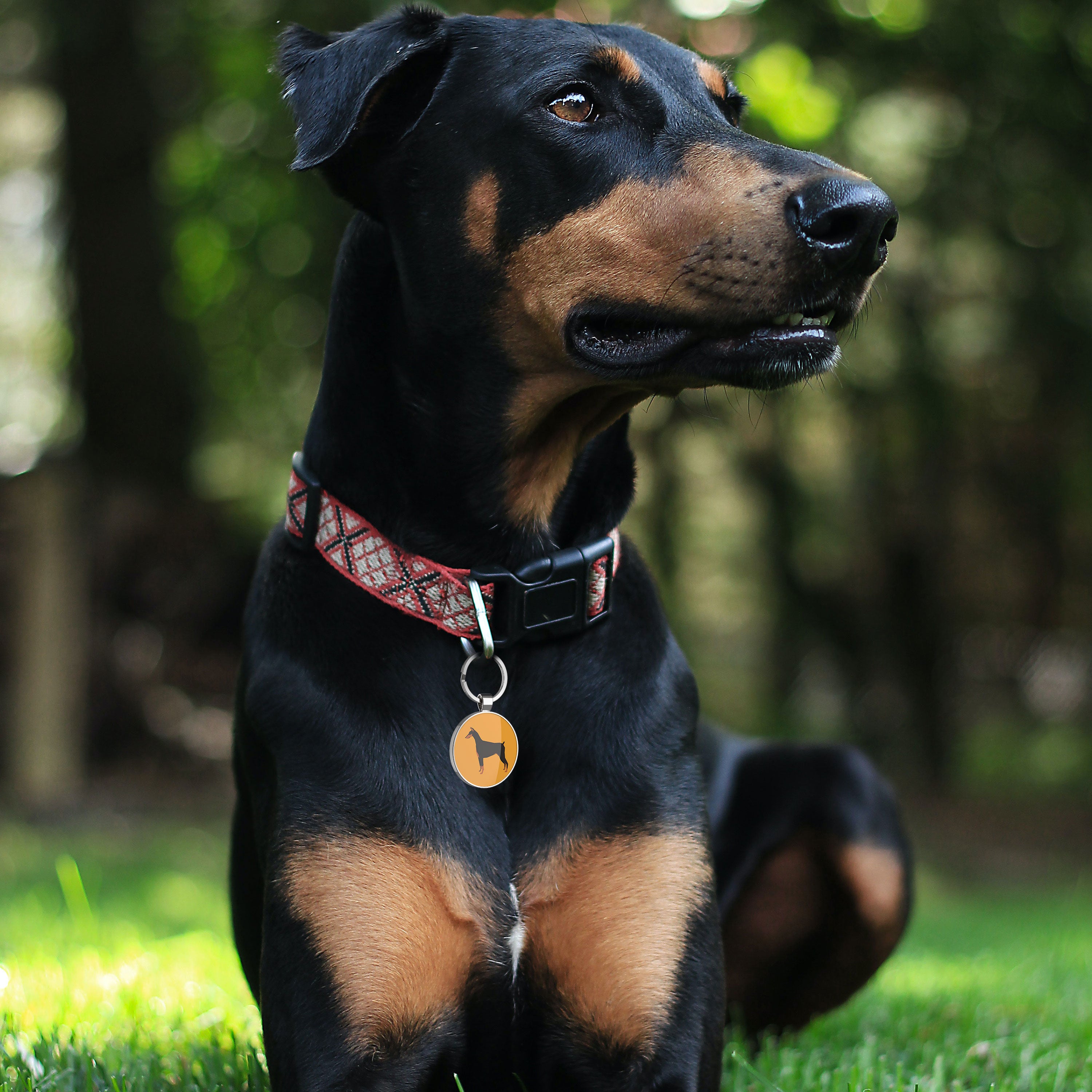 QR code pet tag Dog breeds tags-Doberman