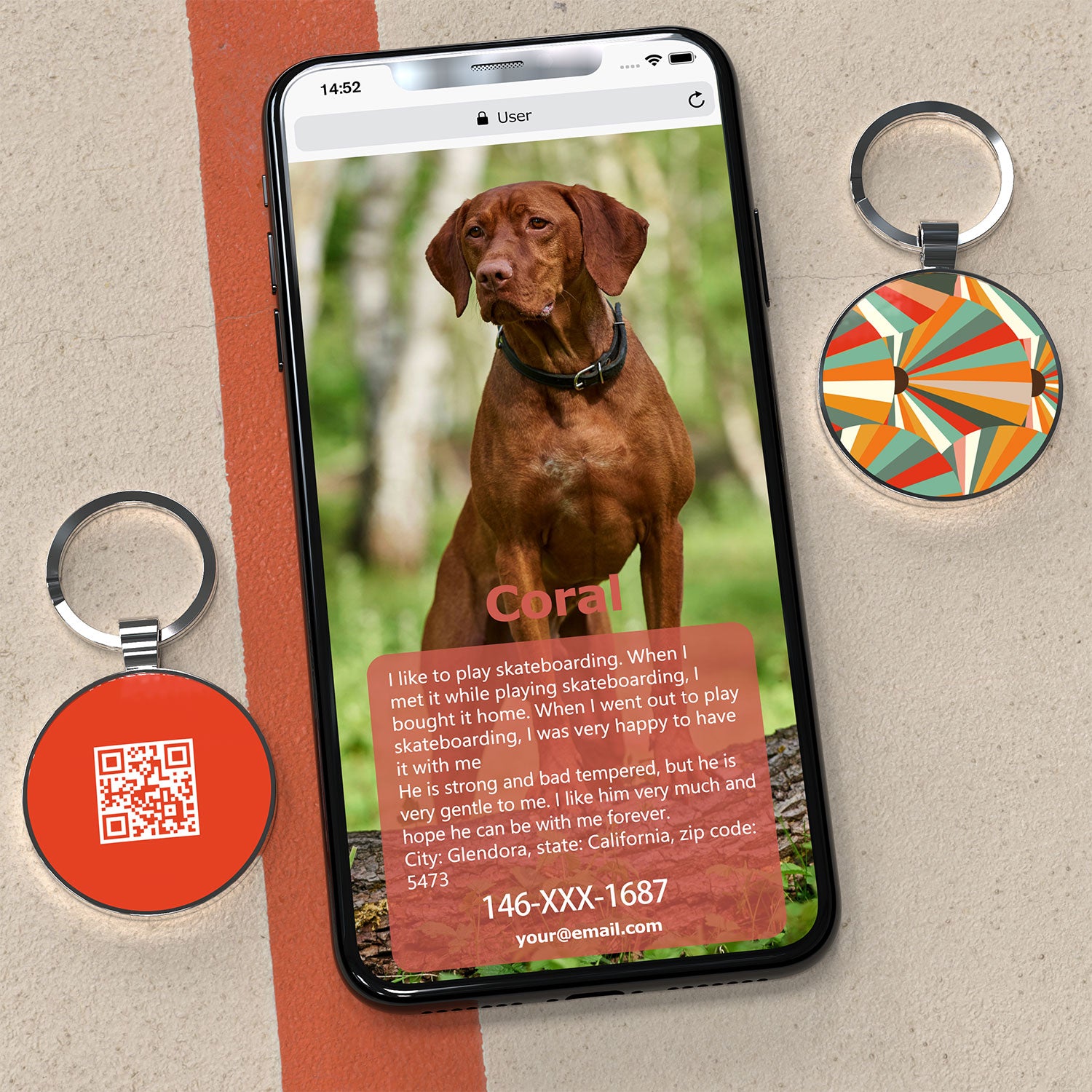 QR code pet tags-NO.150612