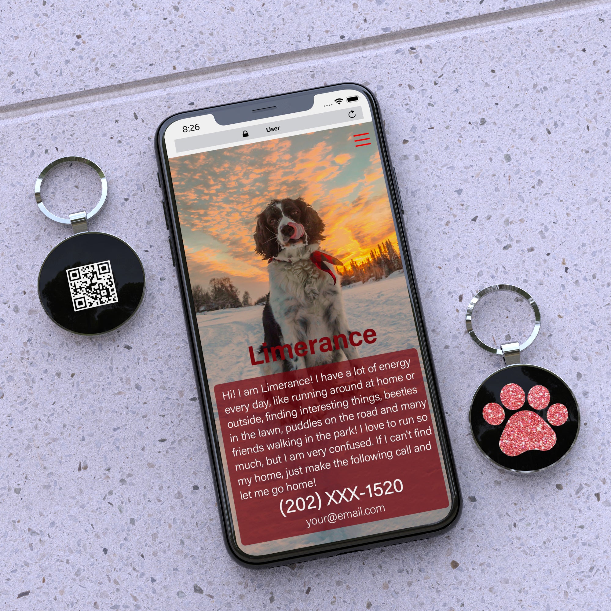 QR code pet tag Pet paws-NO.150608