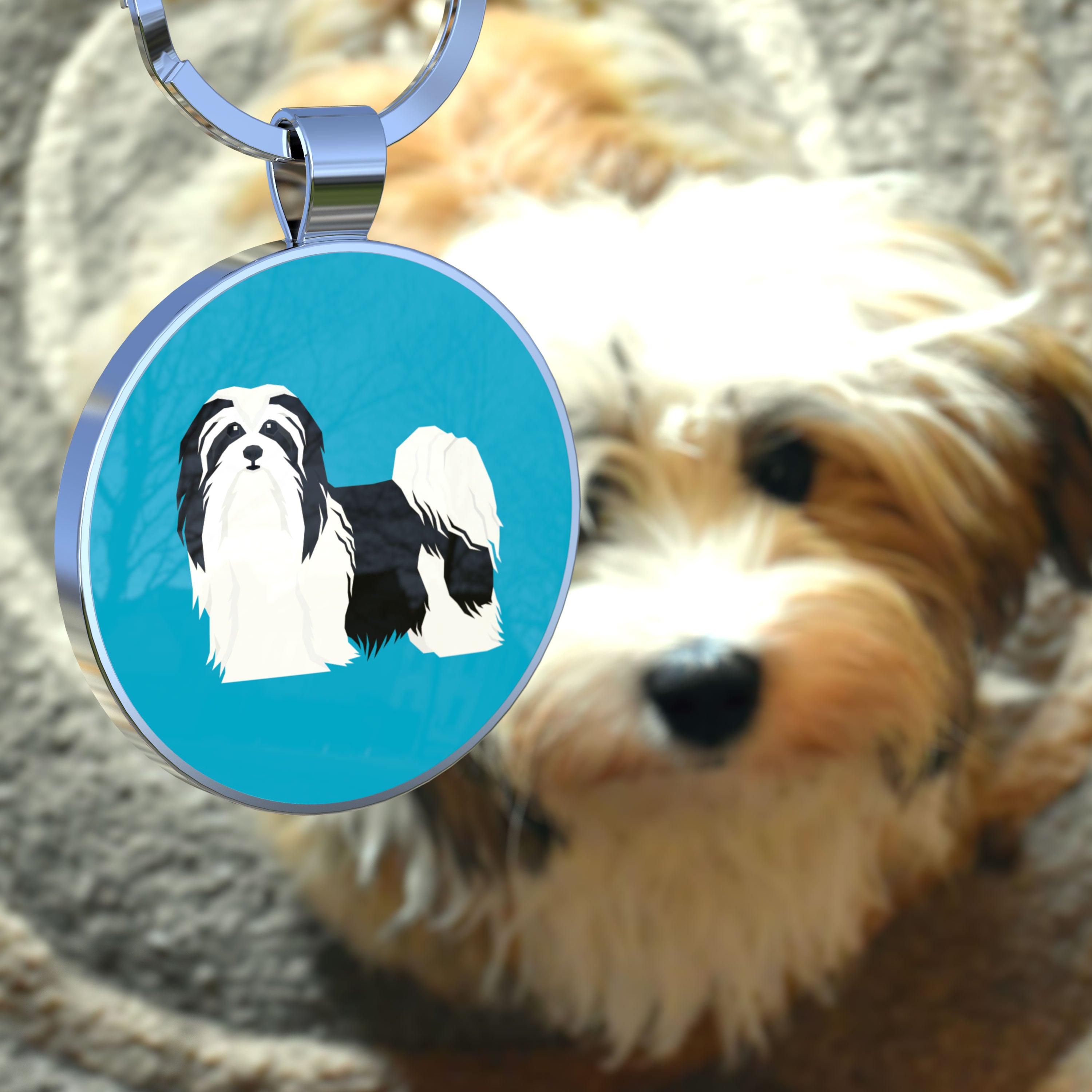 QR code pet tag Dog breeds tags-Havanese