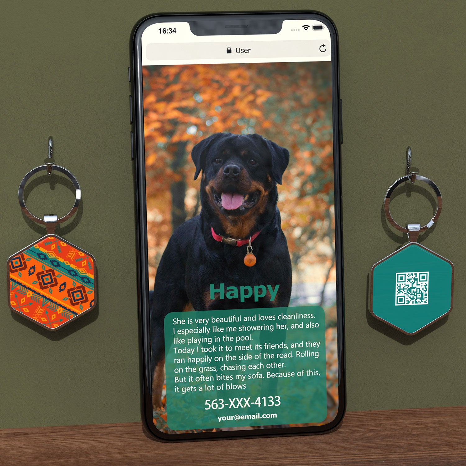 QR code pet tags-NO.150618