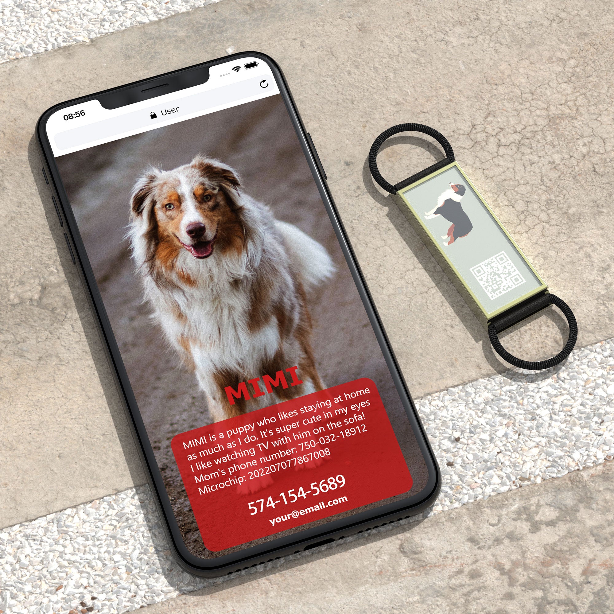 QR code pet tag Silent dog breeds tags-Australian Shepherd