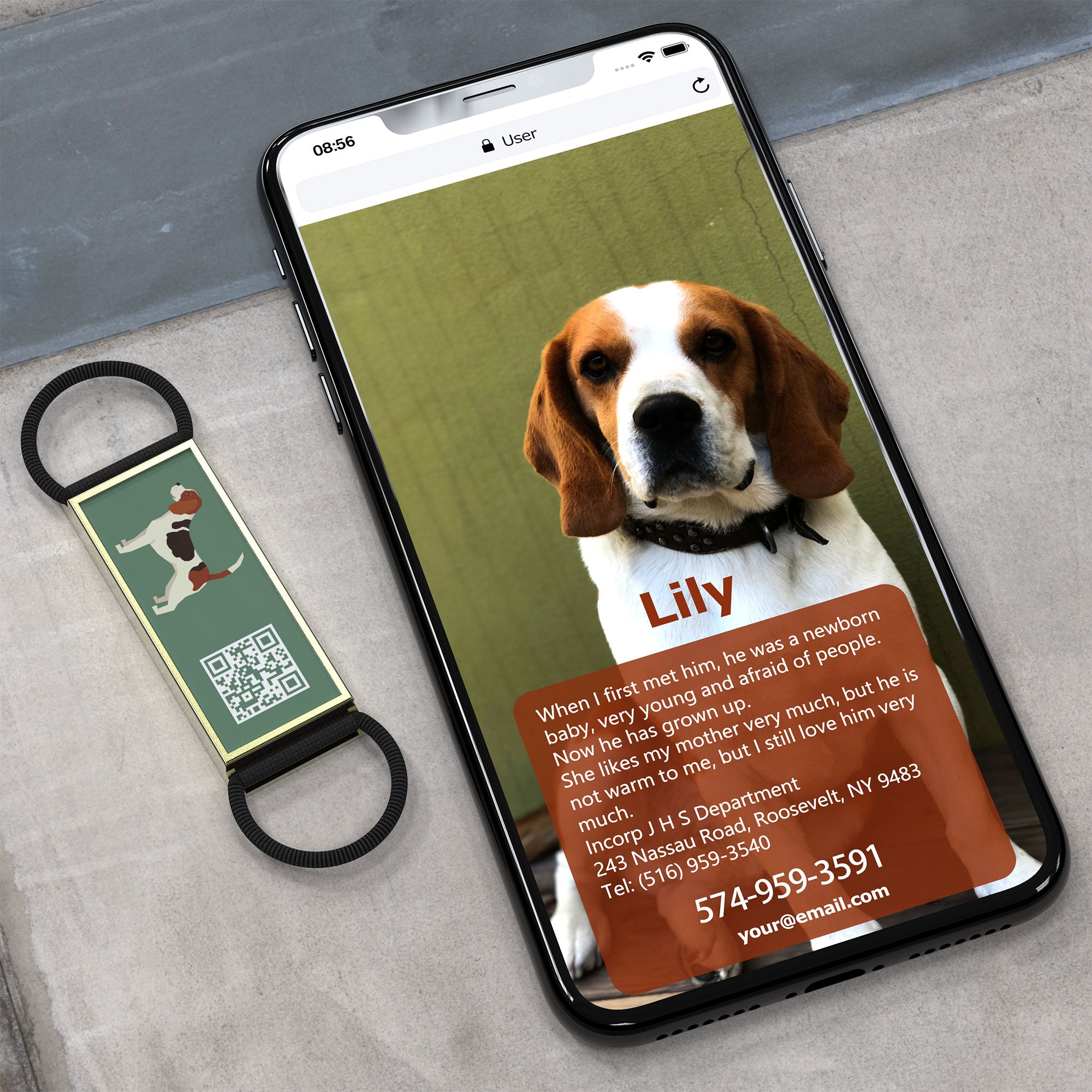 QR code pet tag Silent dog breeds tags-Beagle