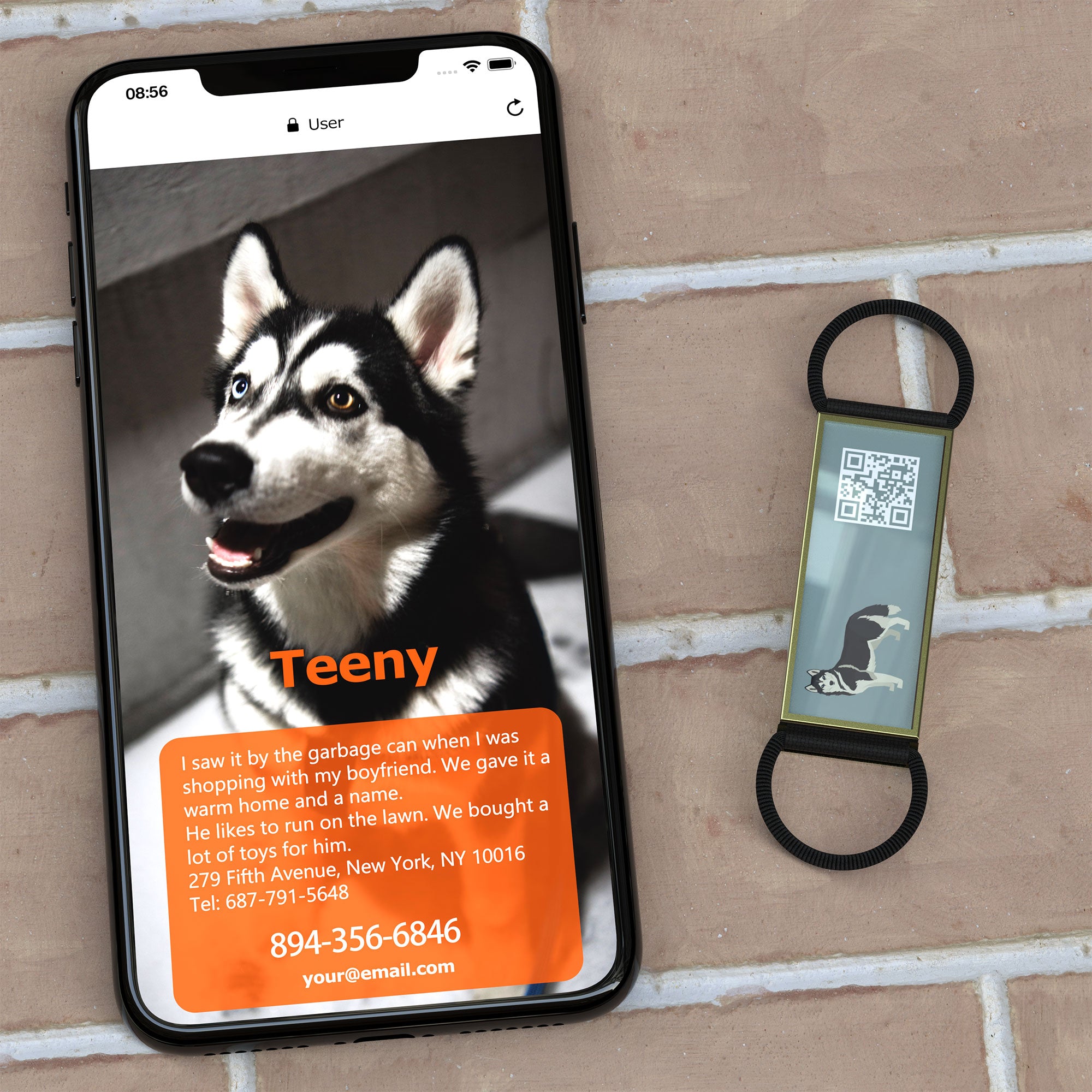 QR code pet tag Silent dog breeds tags-Siberian Husky