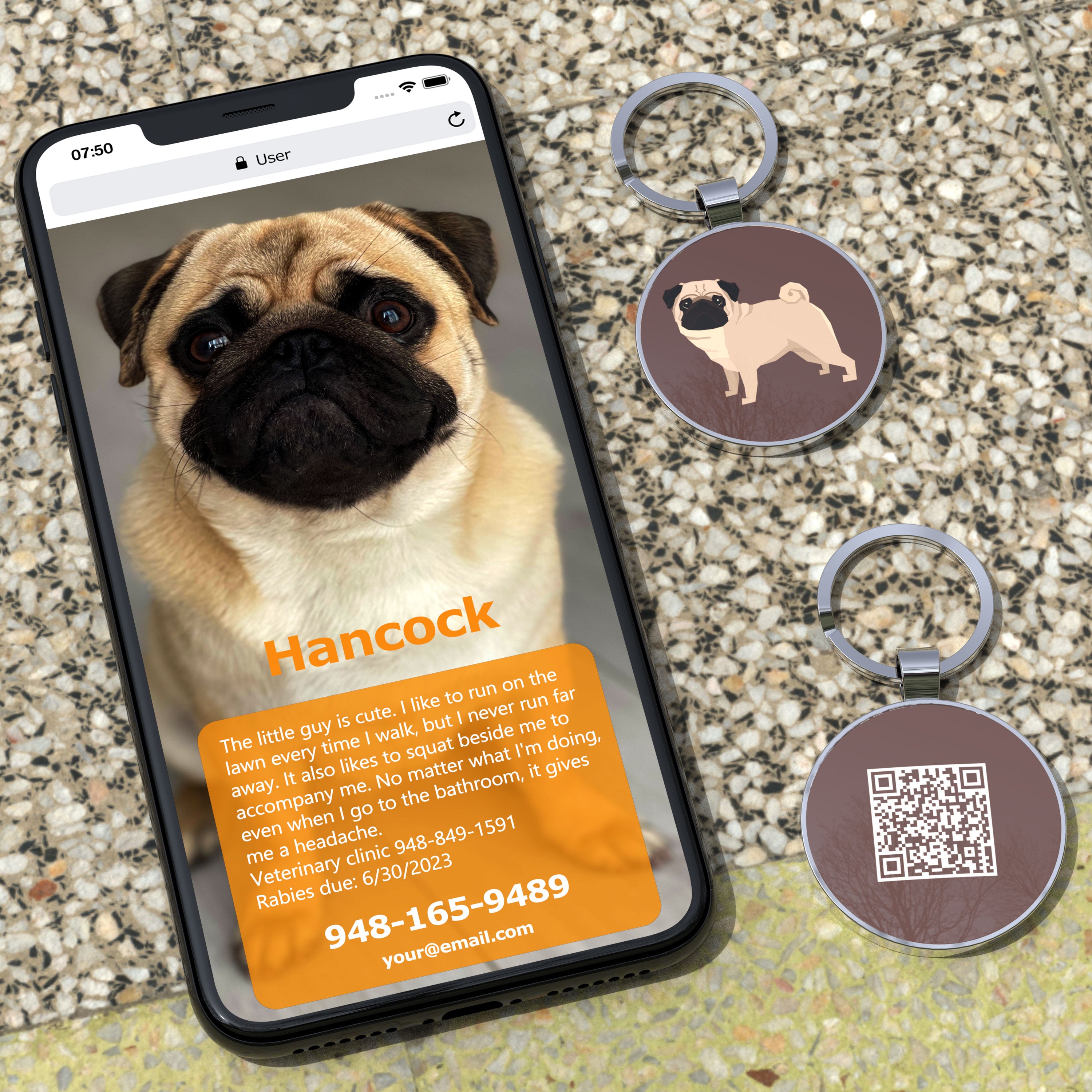 QR code pet tag Dog breeds tags-Pug