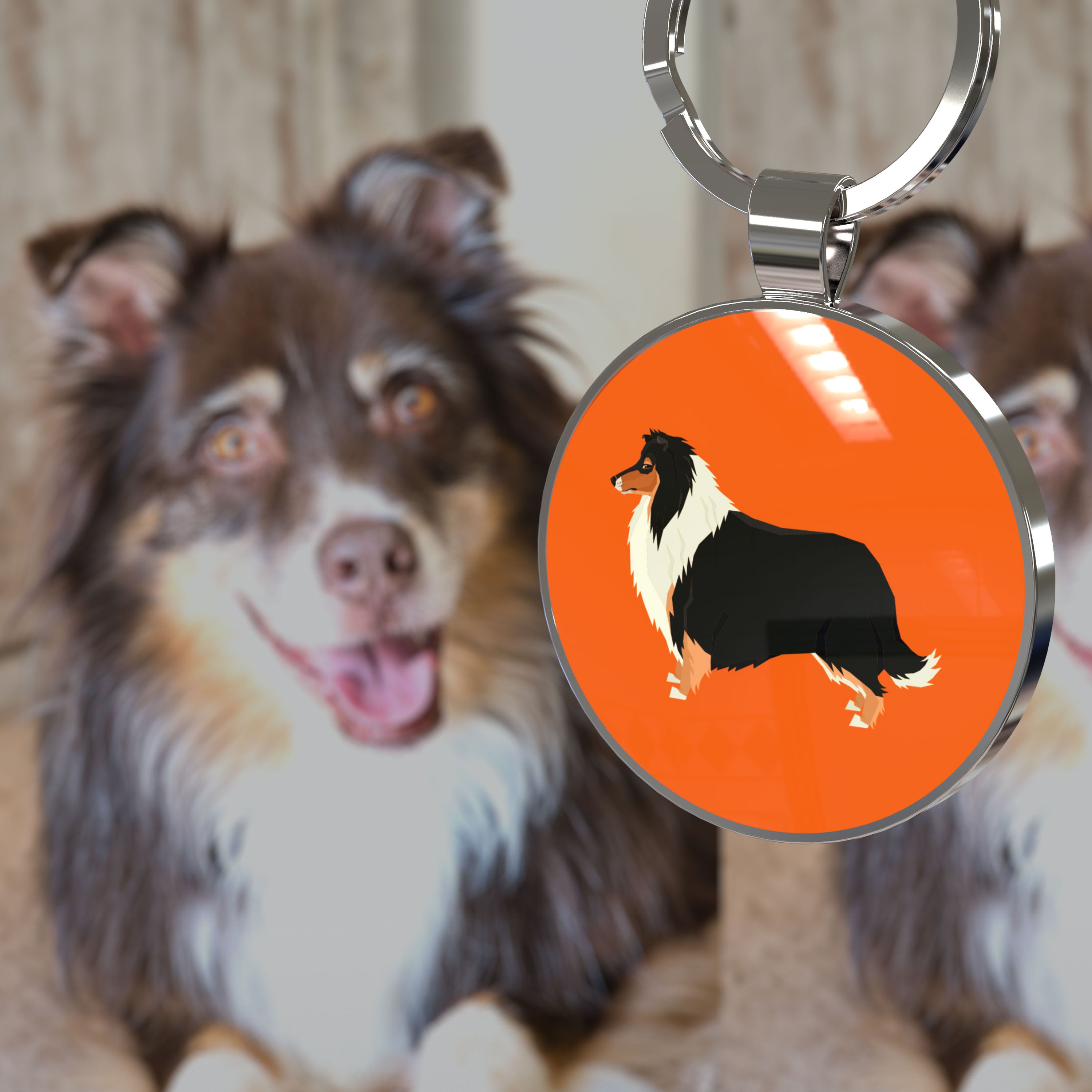 QR code pet tag Dog breeds tags-Collie