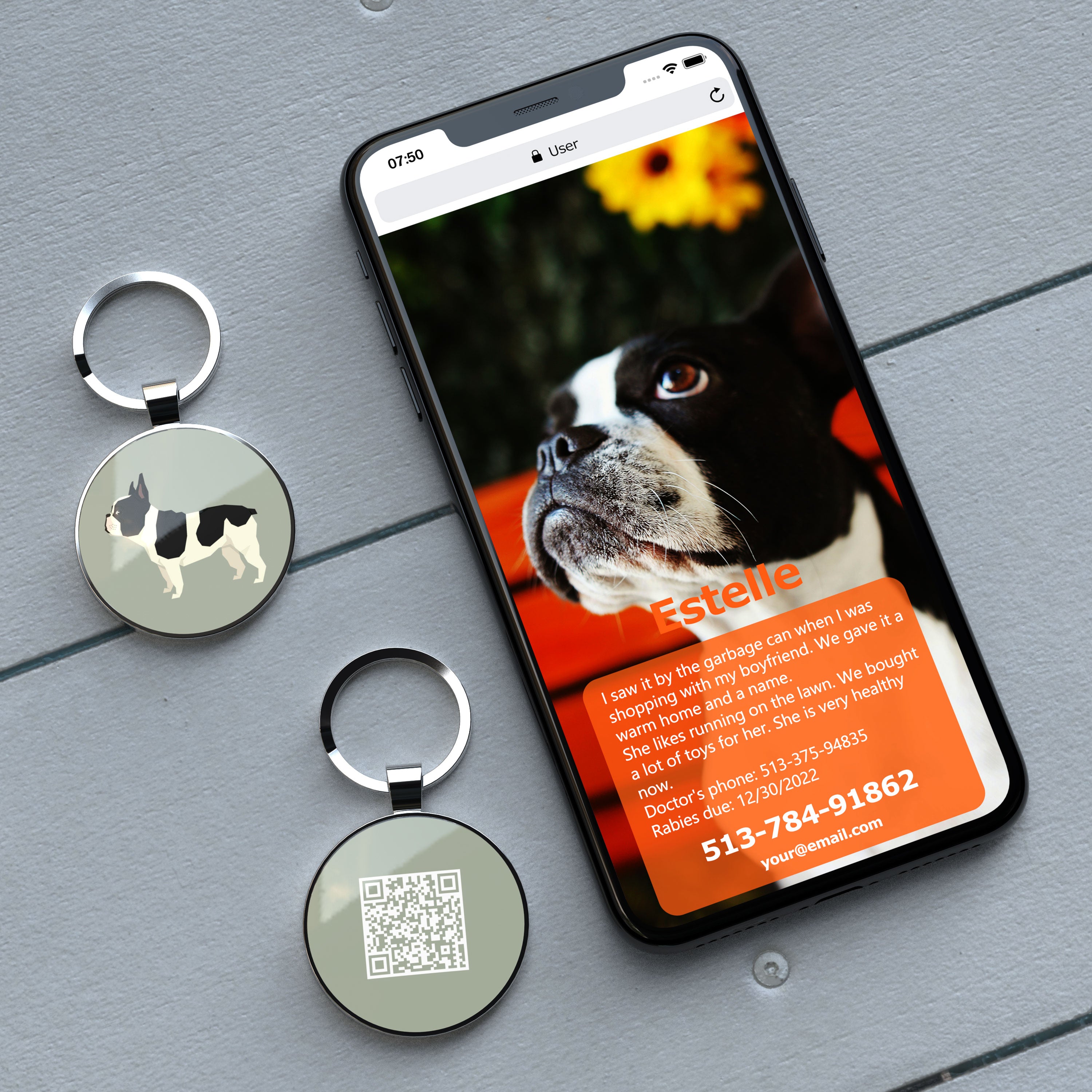 QR code pet tag Dog breeds tags-French Bulldog