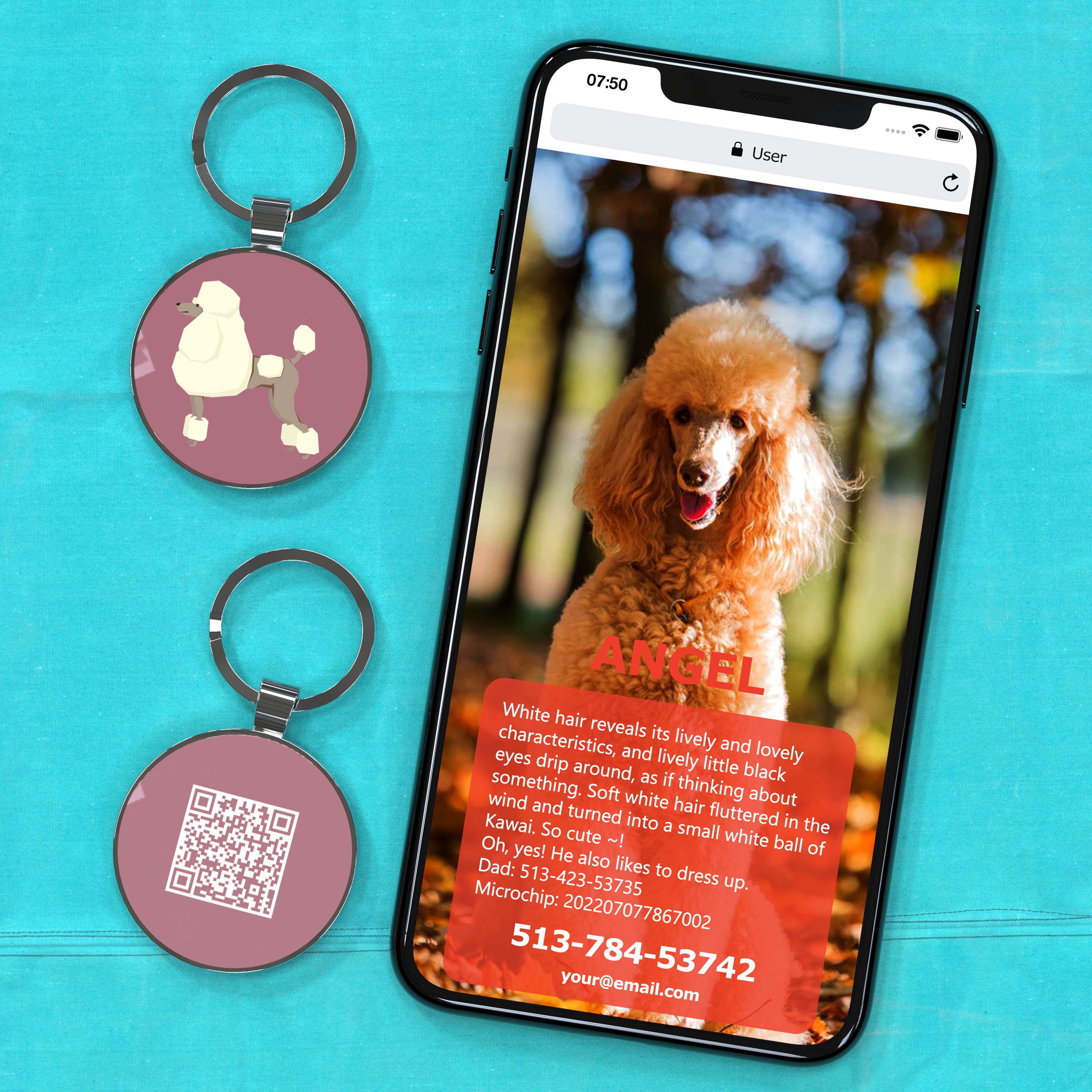 QR code pet tag Dog breeds tags-Poodle