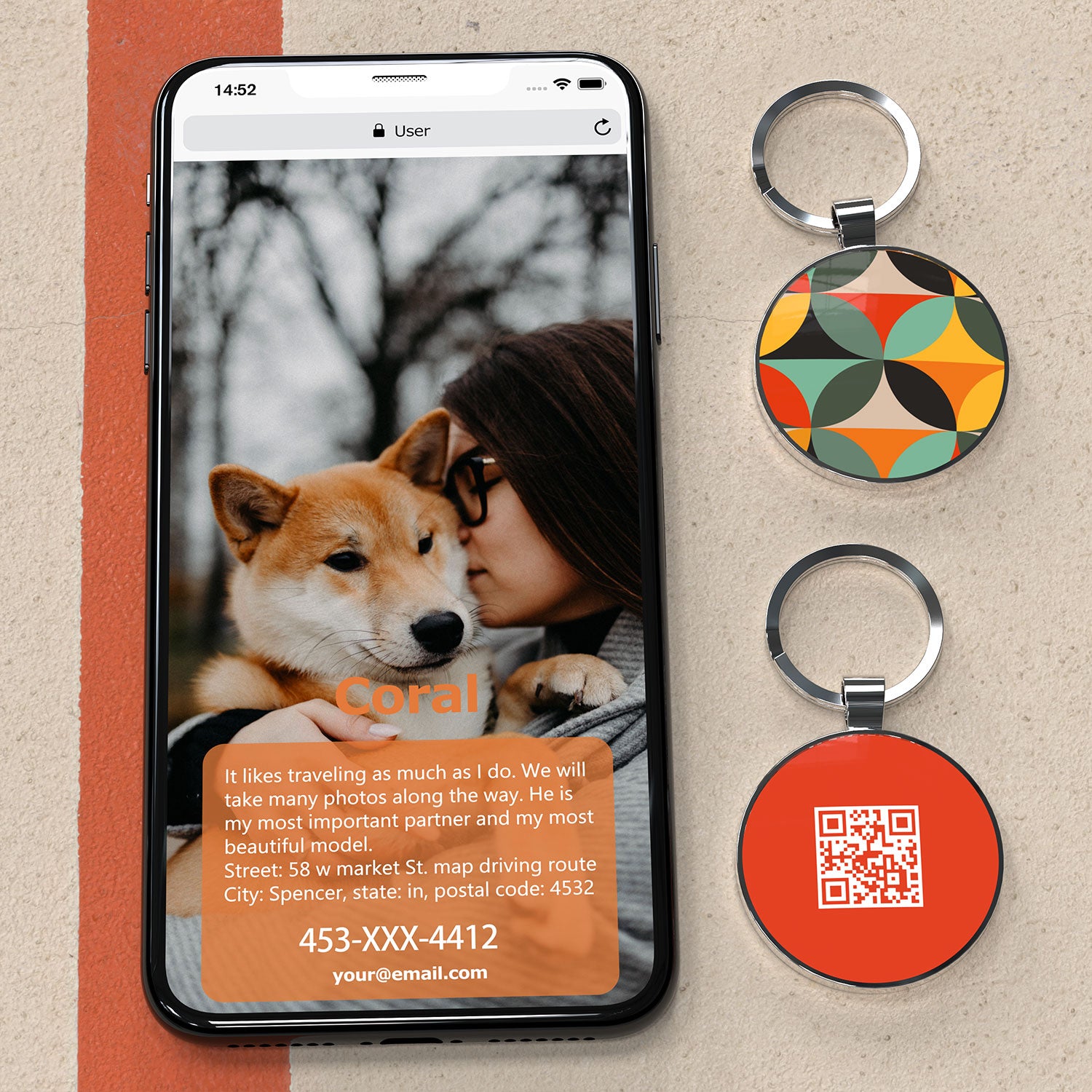 QR code pet tags-NO.150615