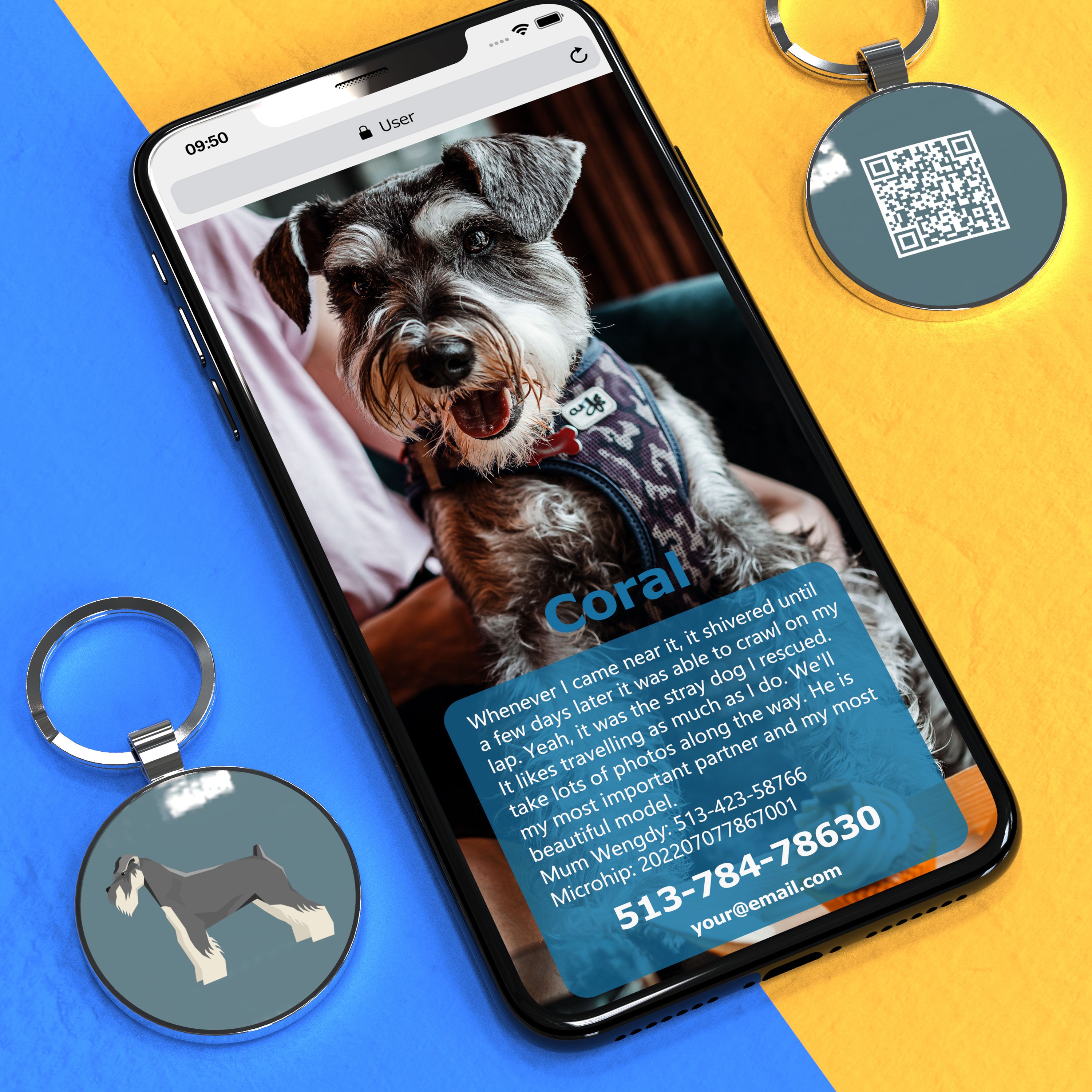 QR code pet tag Dog breeds tags-Schnauzer