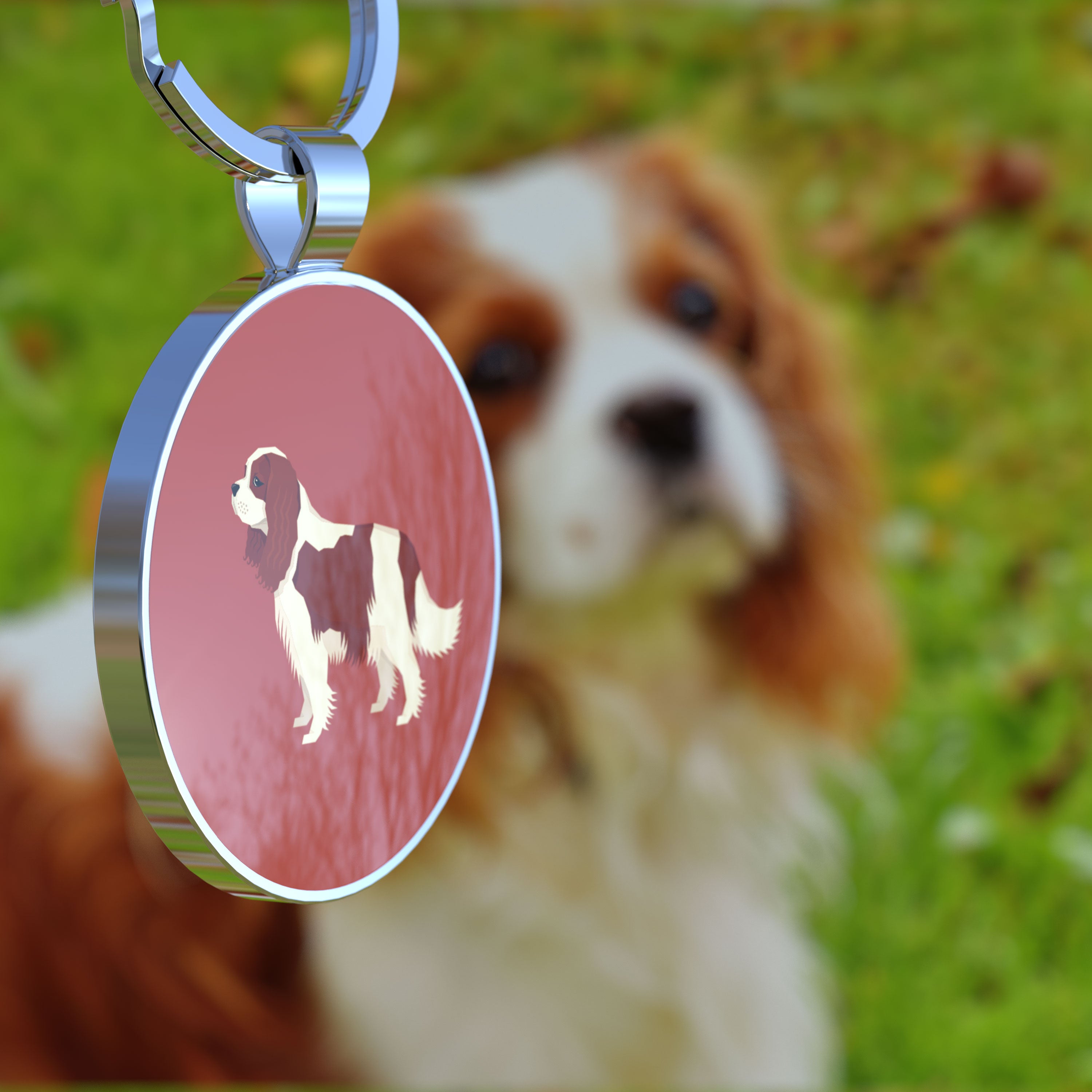 QR code pet tag Dog breeds tags-Cavalier King Charles Spanie