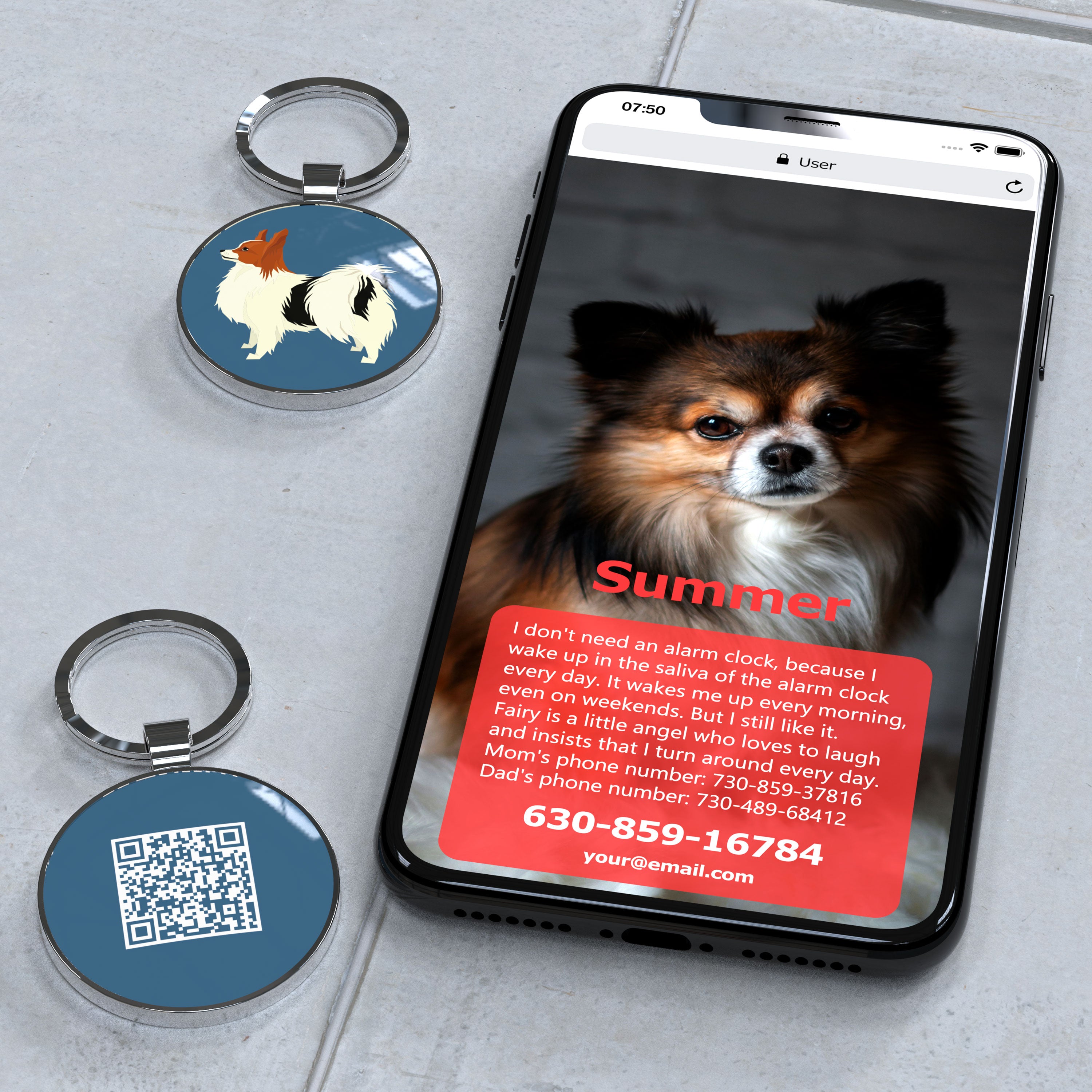 QR code pet tag Dog breeds tags-Papillon