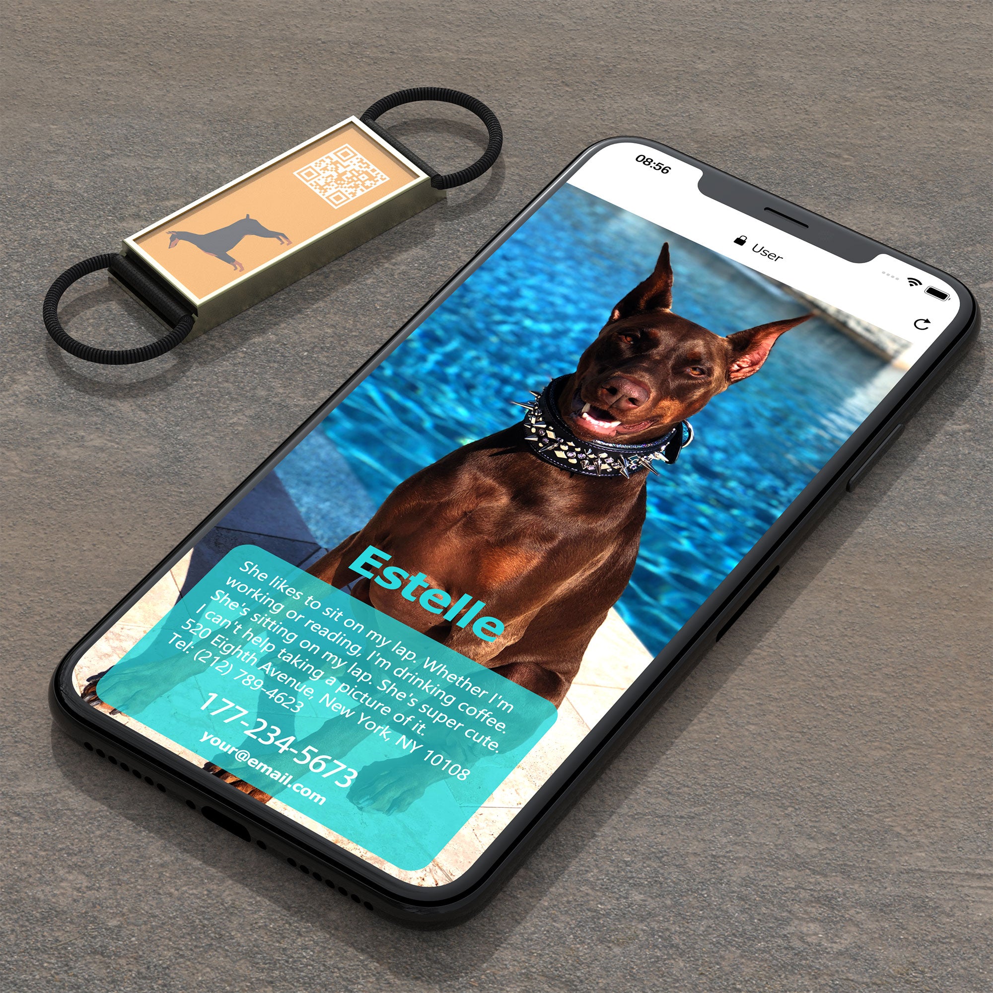 QR code pet tag Silent dog breeds tags-Doberman