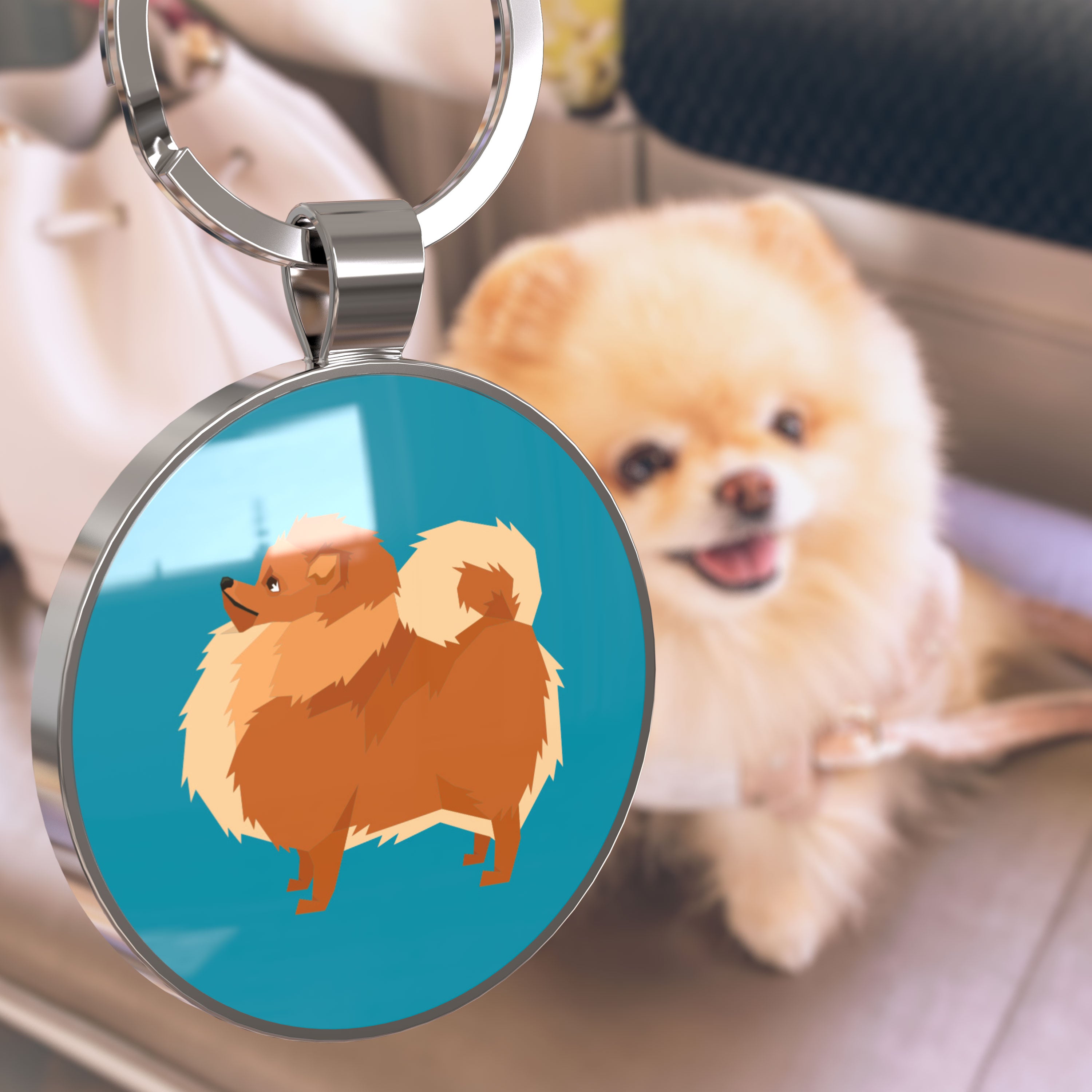 QR code pet tag Dog breeds tags-Pomeranian