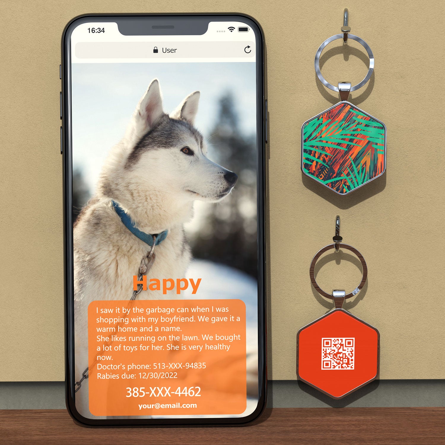 QR code pet tags-NO.150621