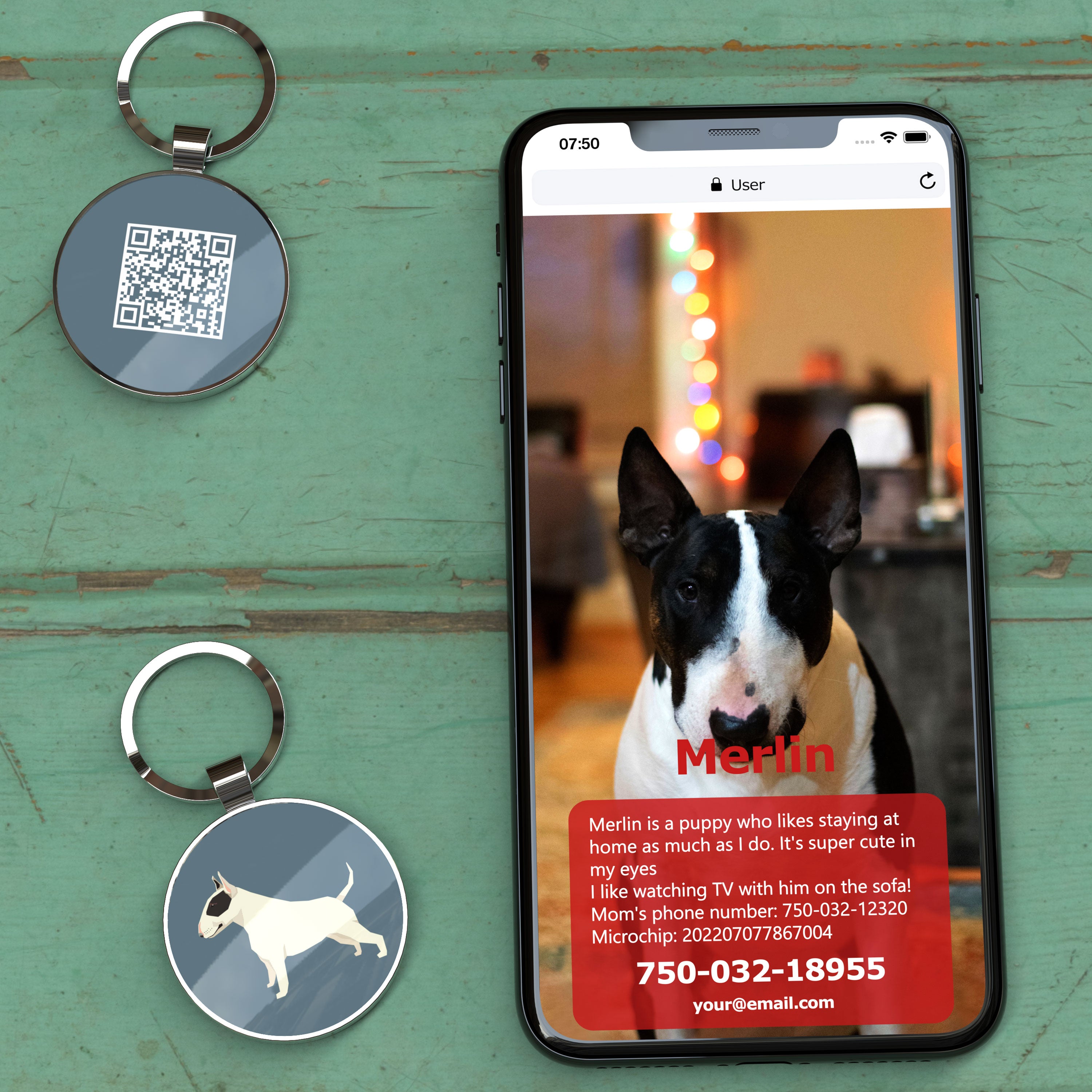 QR code pet tag Dog breeds tags-Bull Terrier Black and White