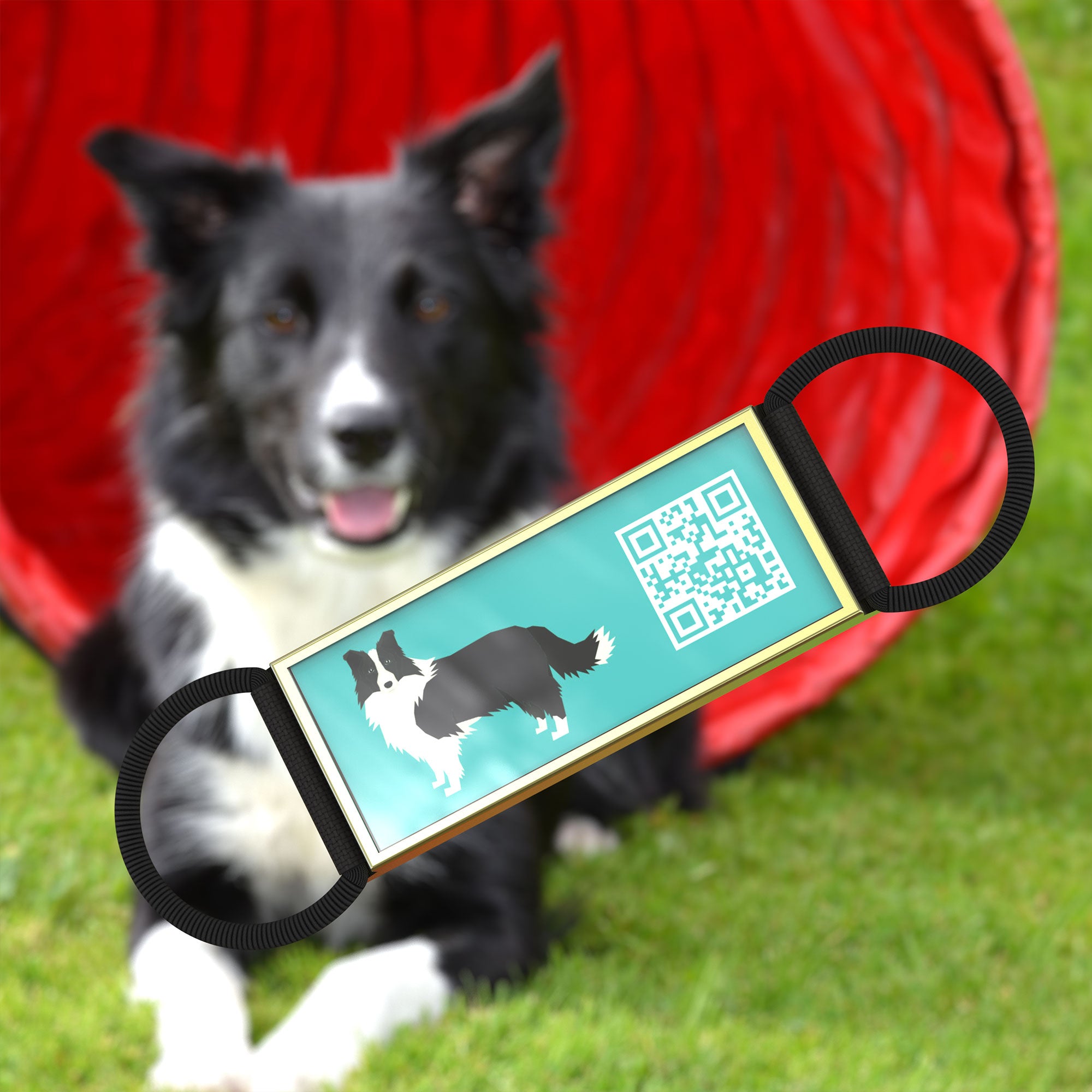 QR code pet tag Silent dog breeds tags-Border Collie