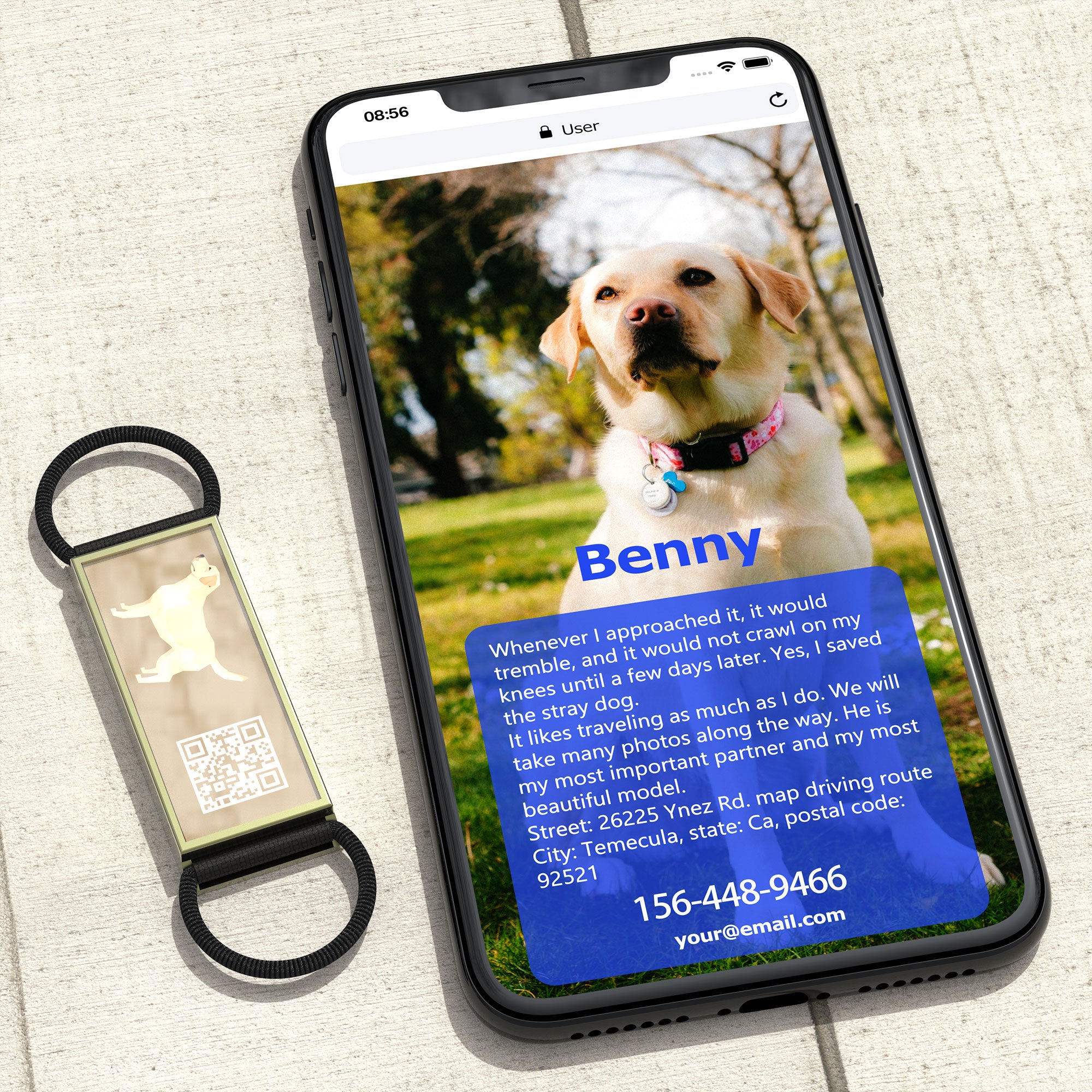 QR code pet tag Silent dog breeds tags-Labrador Retriever