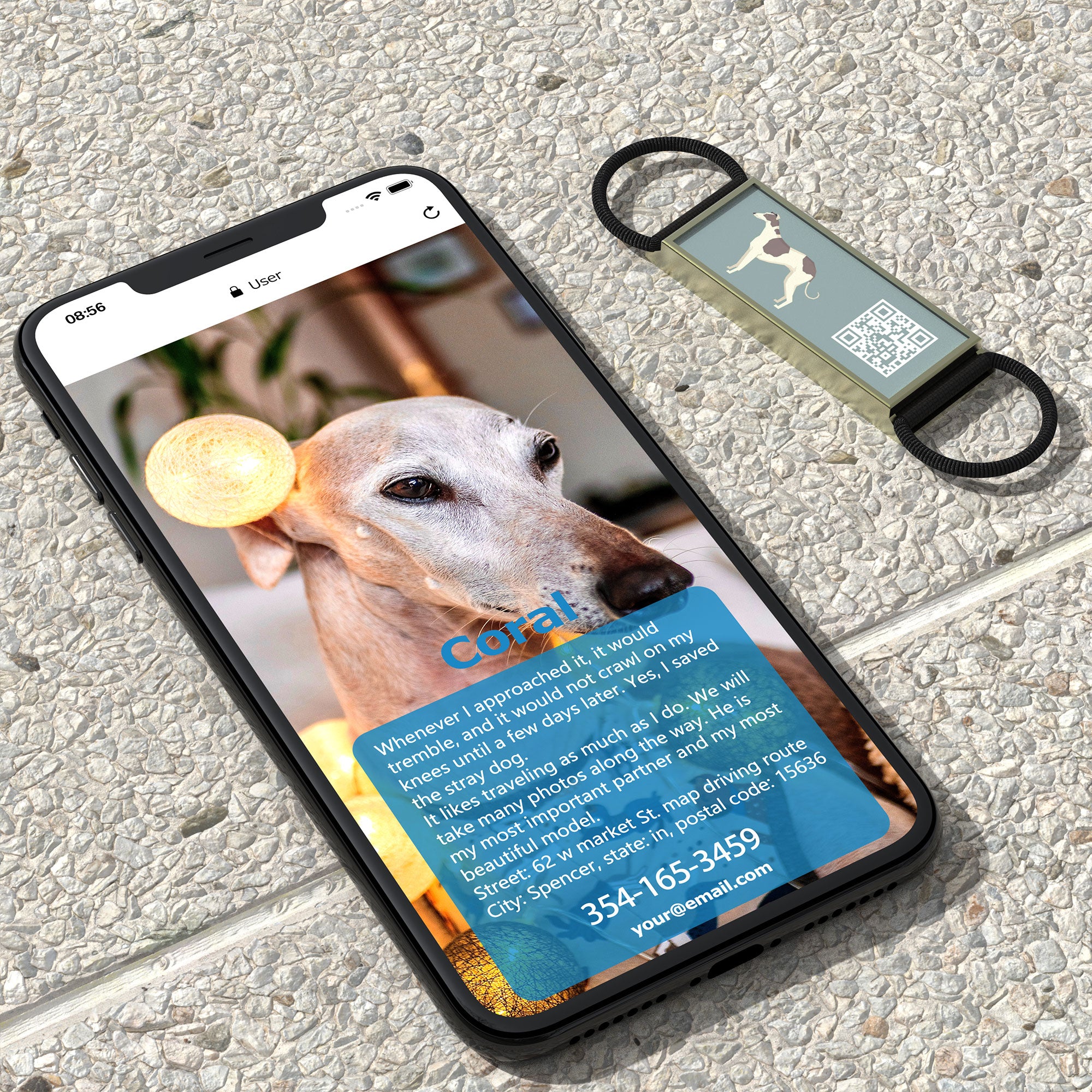 QR code pet tag Silent dog breeds tags-Greyhound