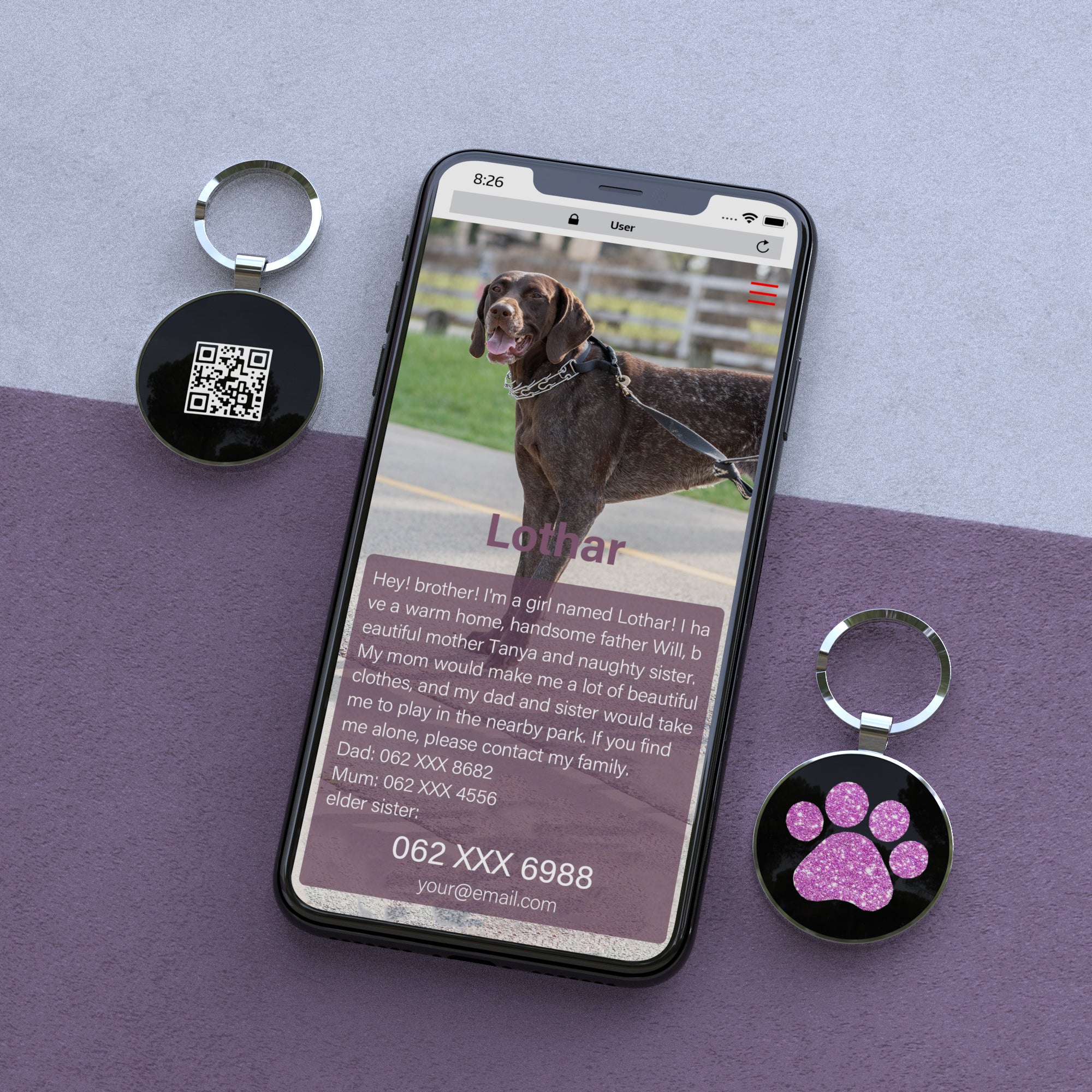 QR code pet tag Pet paws-NO.150610