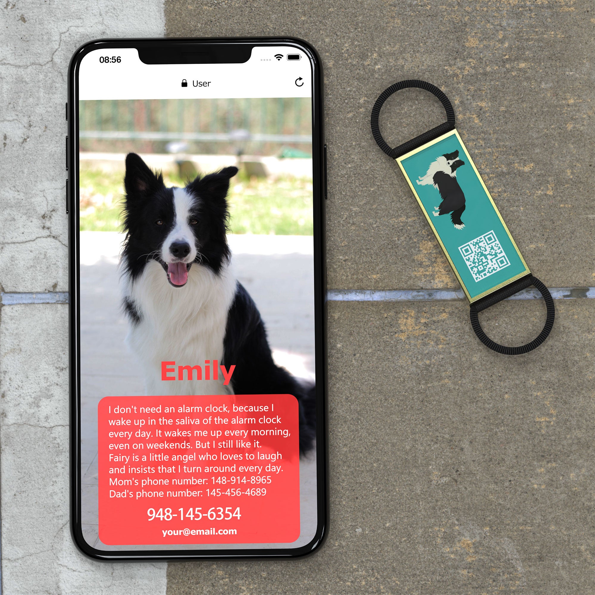 QR code pet tag Silent dog breeds tags-Border Collie