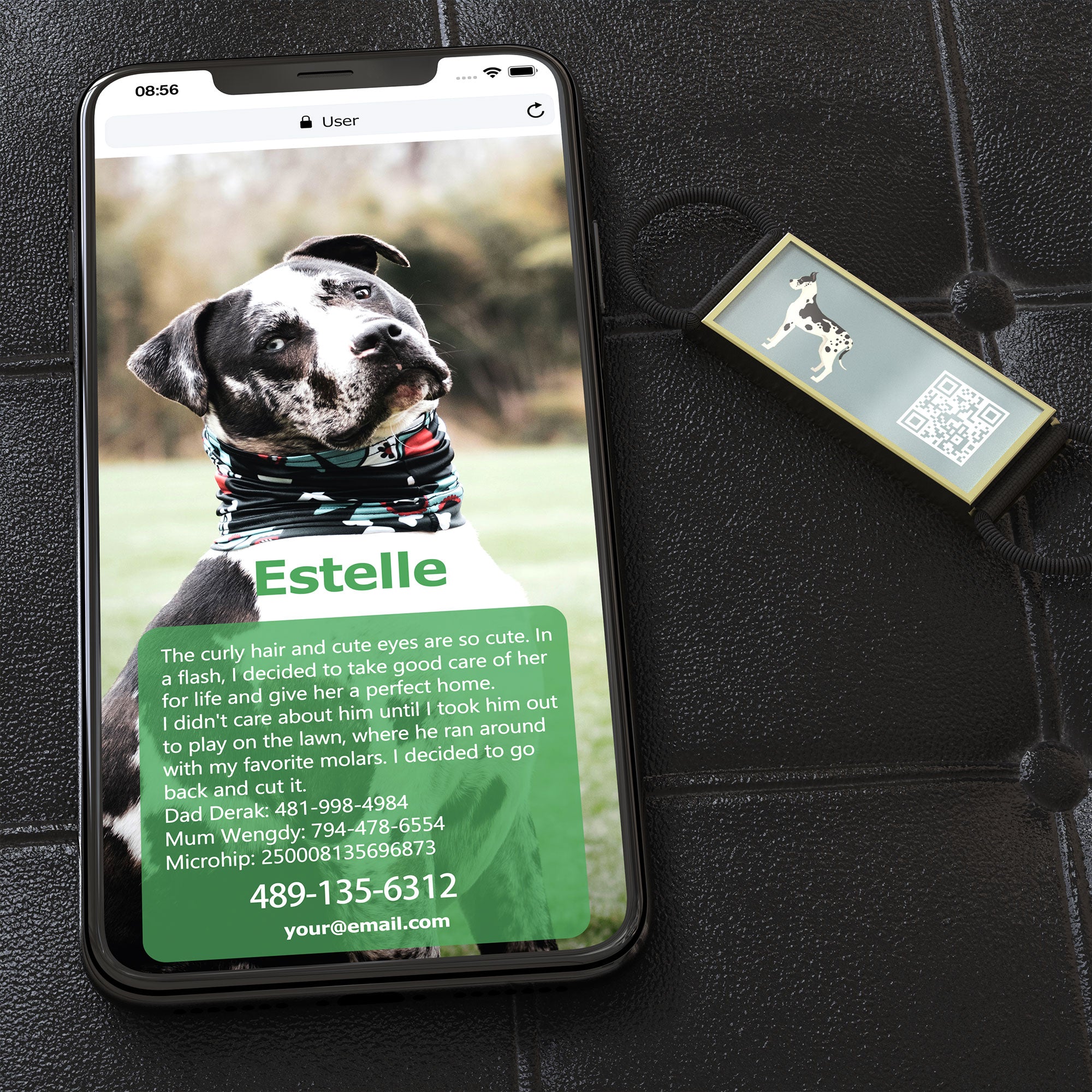 QR code pet tag Silent dog breeds tags-Great Dane