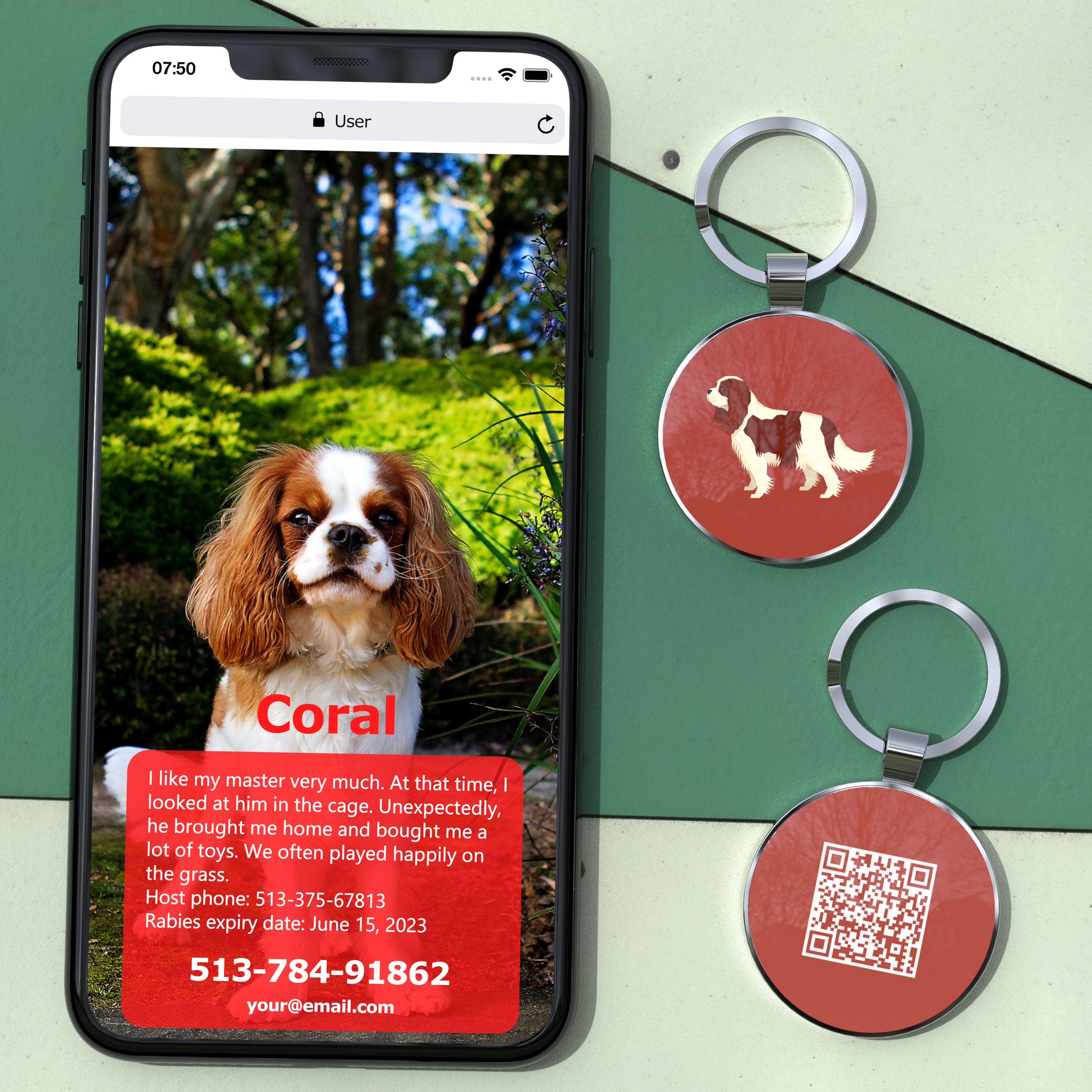 QR code pet tag Dog breeds tags-Cavalier King Charles Spanie