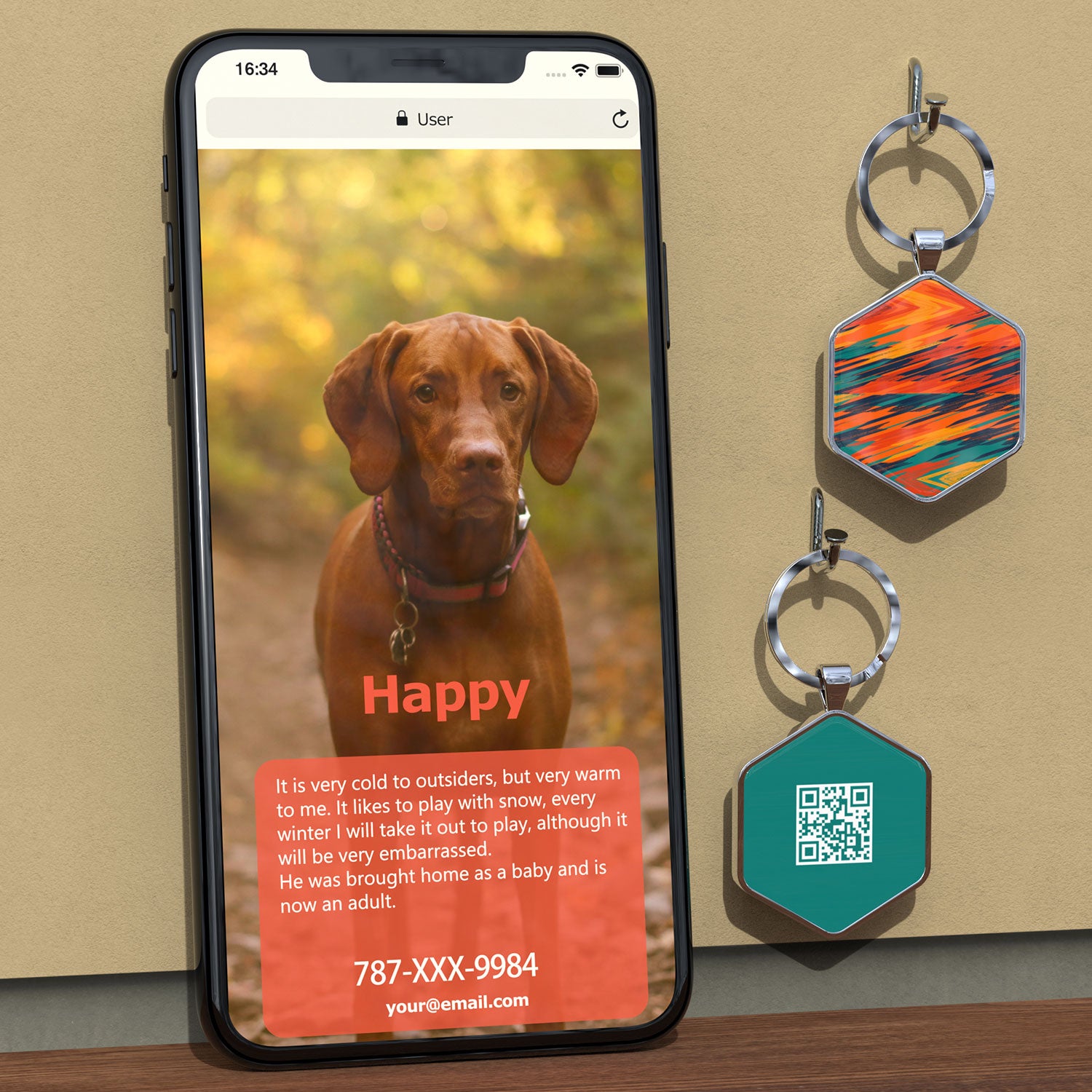 QR code pet tags-NO.150619