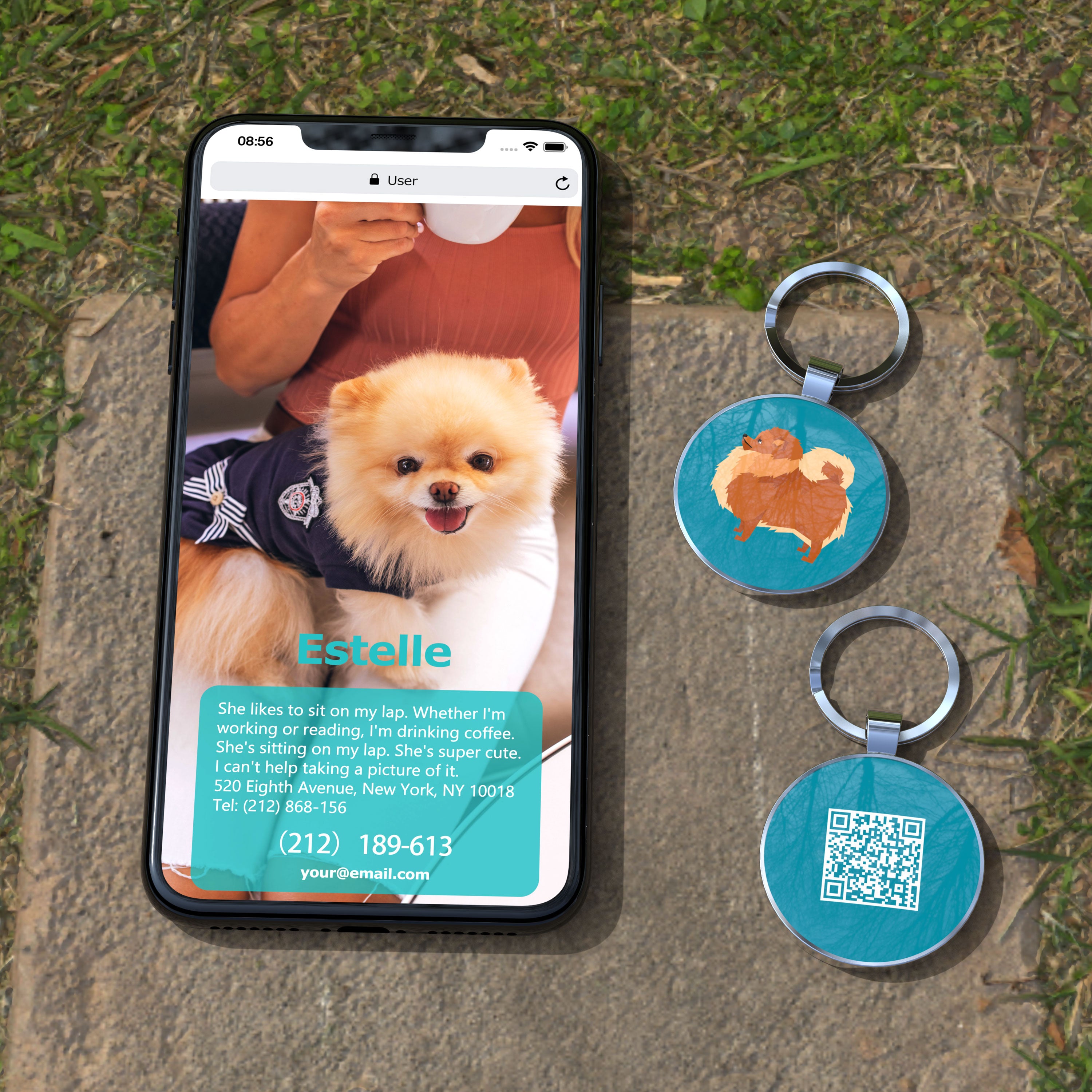 QR code pet tag Dog breeds tags-Pomeranian