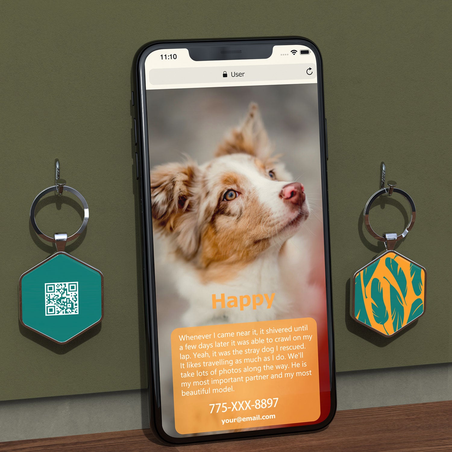 QR code pet tags-NO.150617