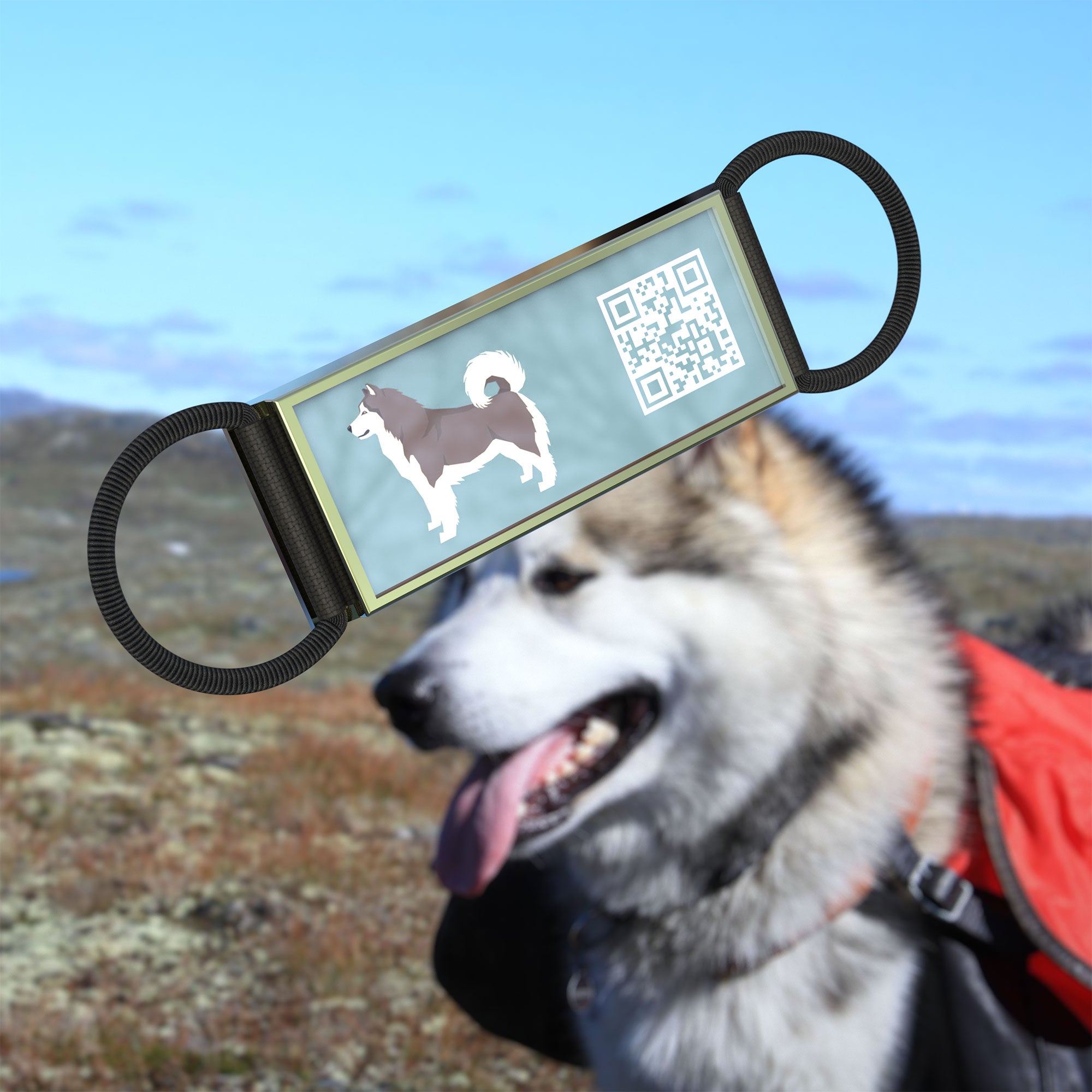 QR code pet tag Silent dog breeds tags-Alaskan Malamute