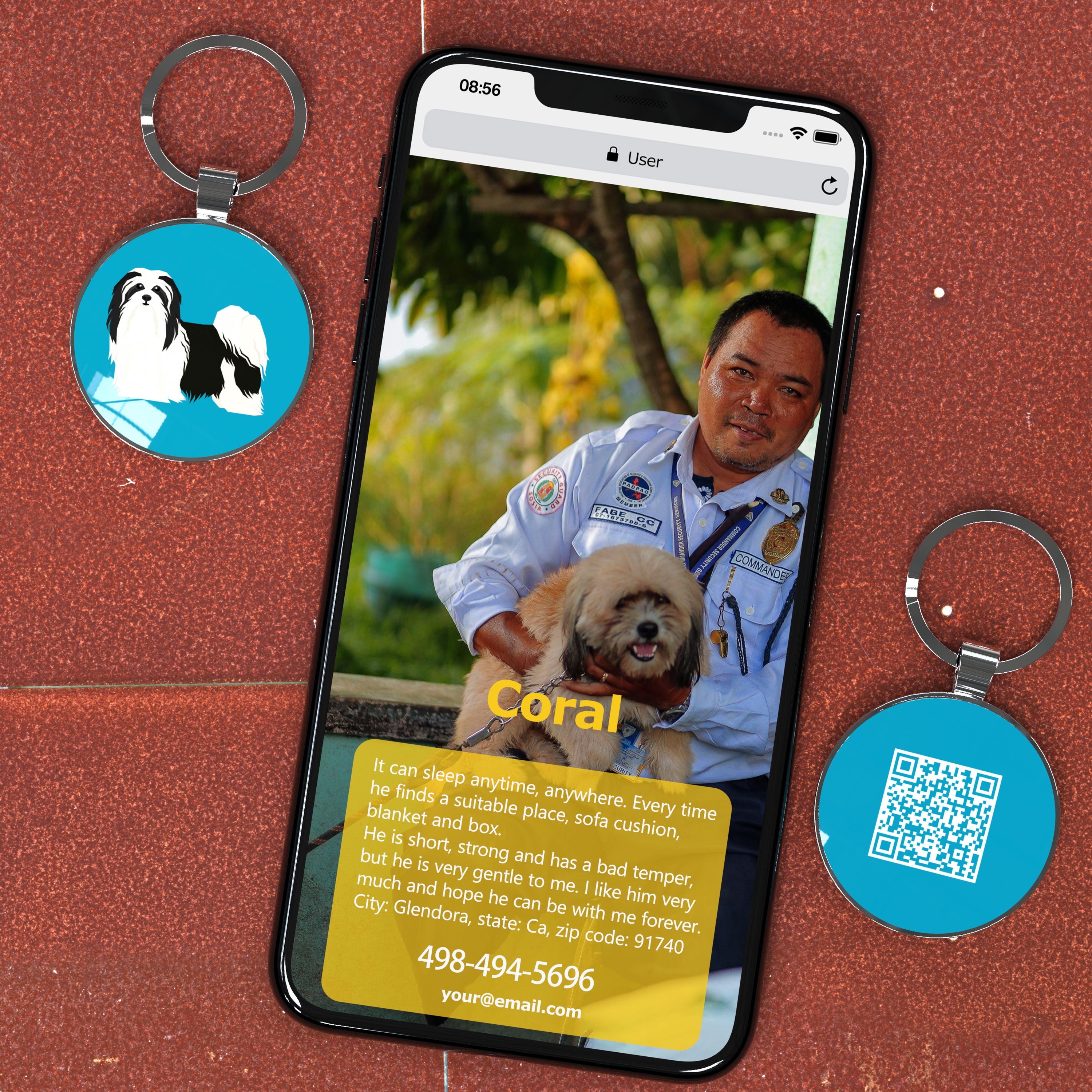 QR code pet tag Dog breeds tags-Havanese