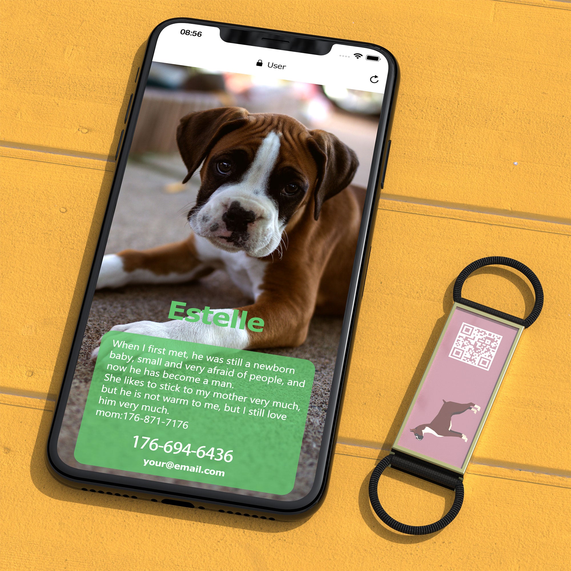 QR code pet tag Silent dog breeds tags-Boxer