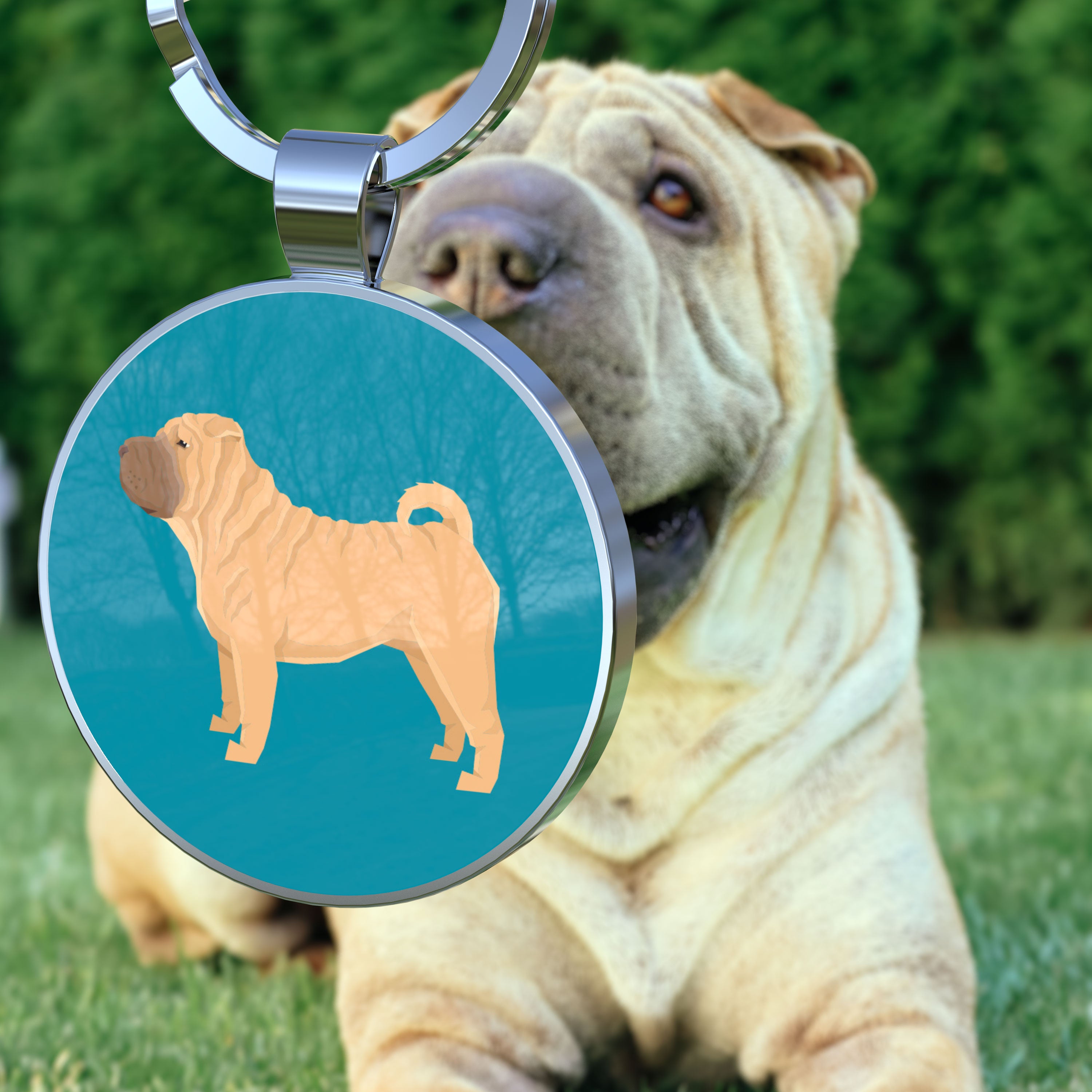 QR code pet tag Dog breeds tags-Shar Pei