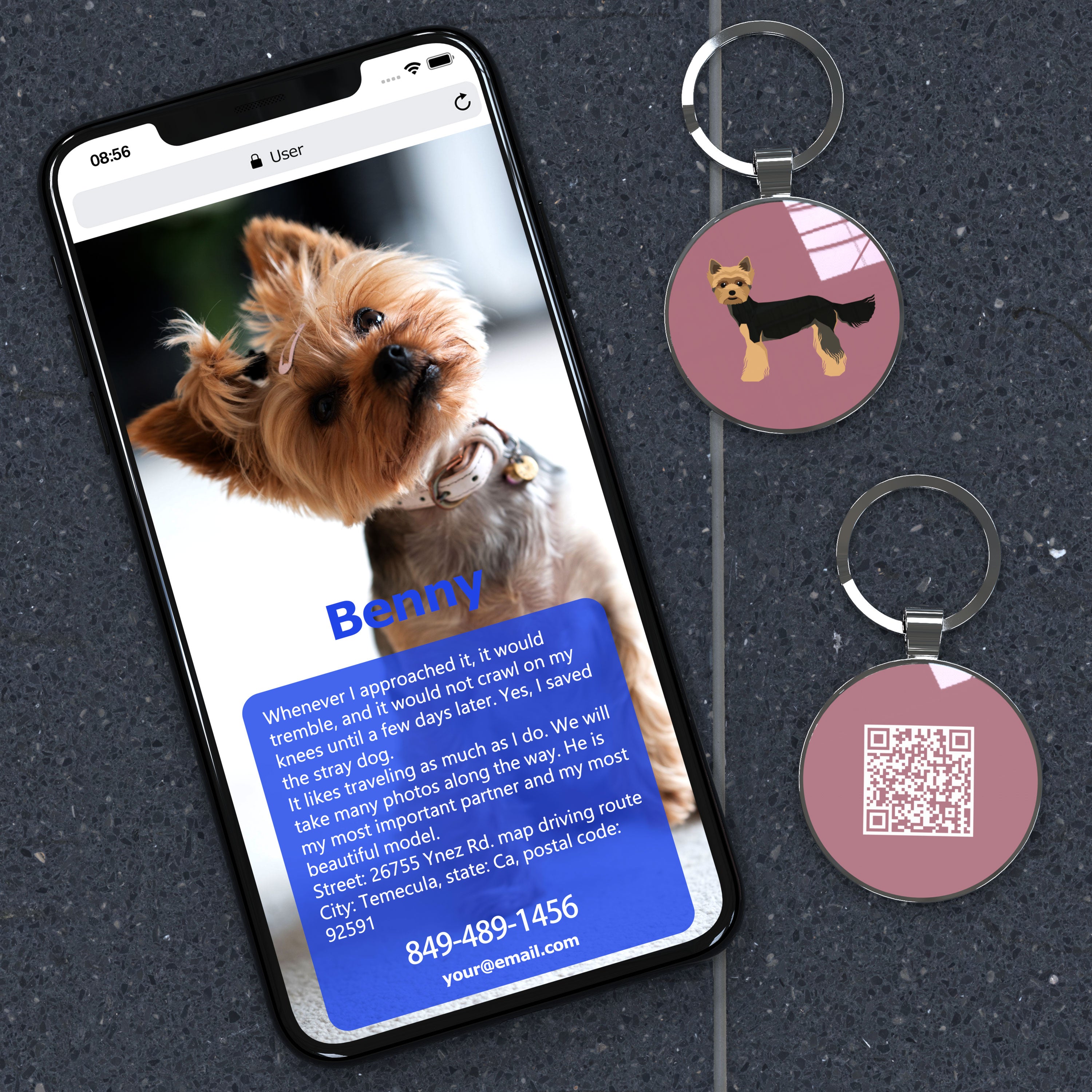 QR code pet tag Dog breeds tags-Yorkshire Terrier