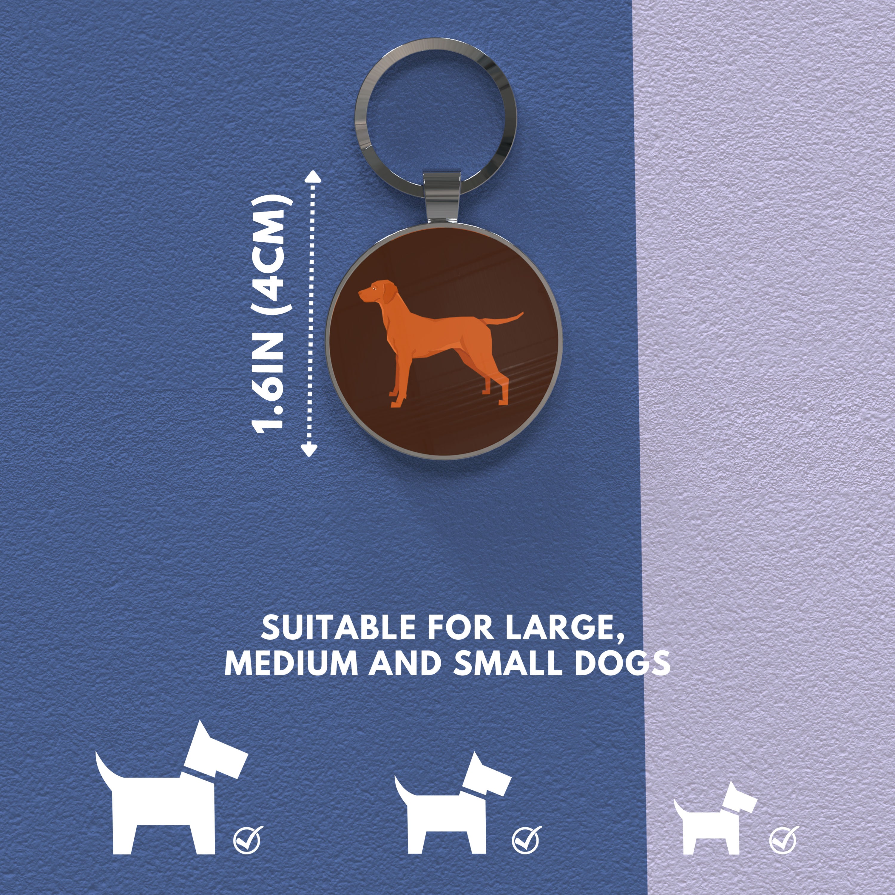 QR code pet tag Dog breeds tags-Vizsla