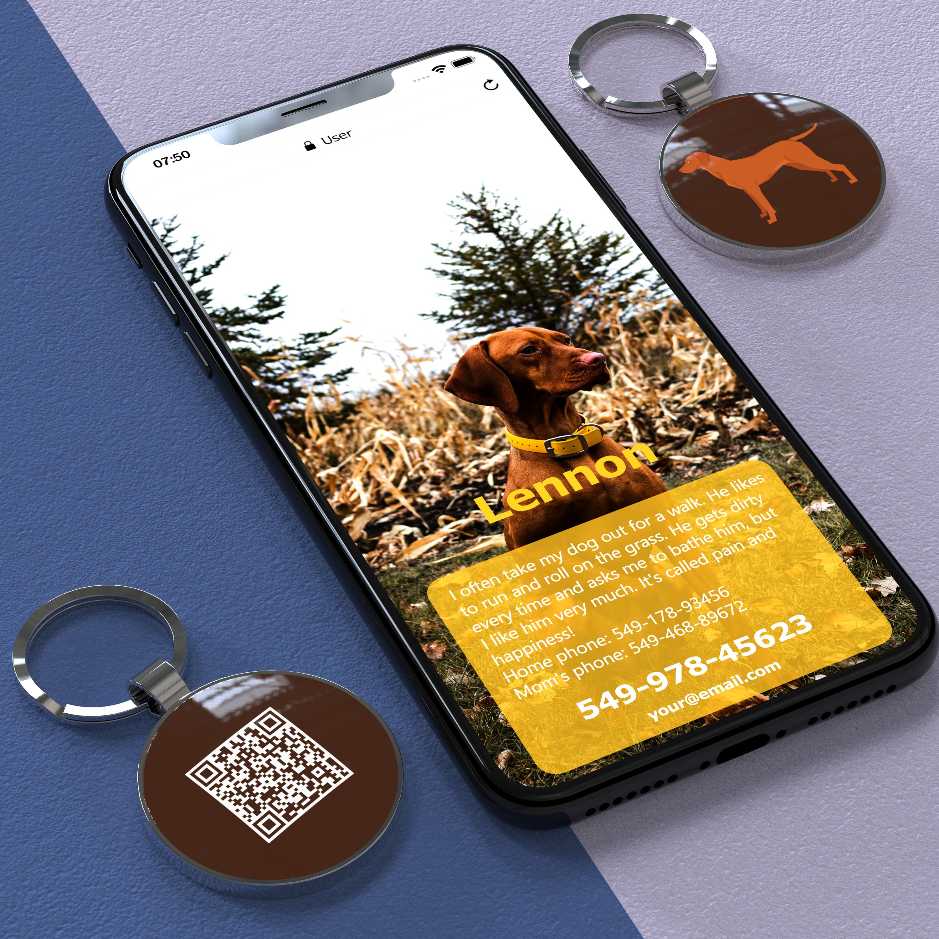 QR code pet tag Dog breeds tags-Vizsla