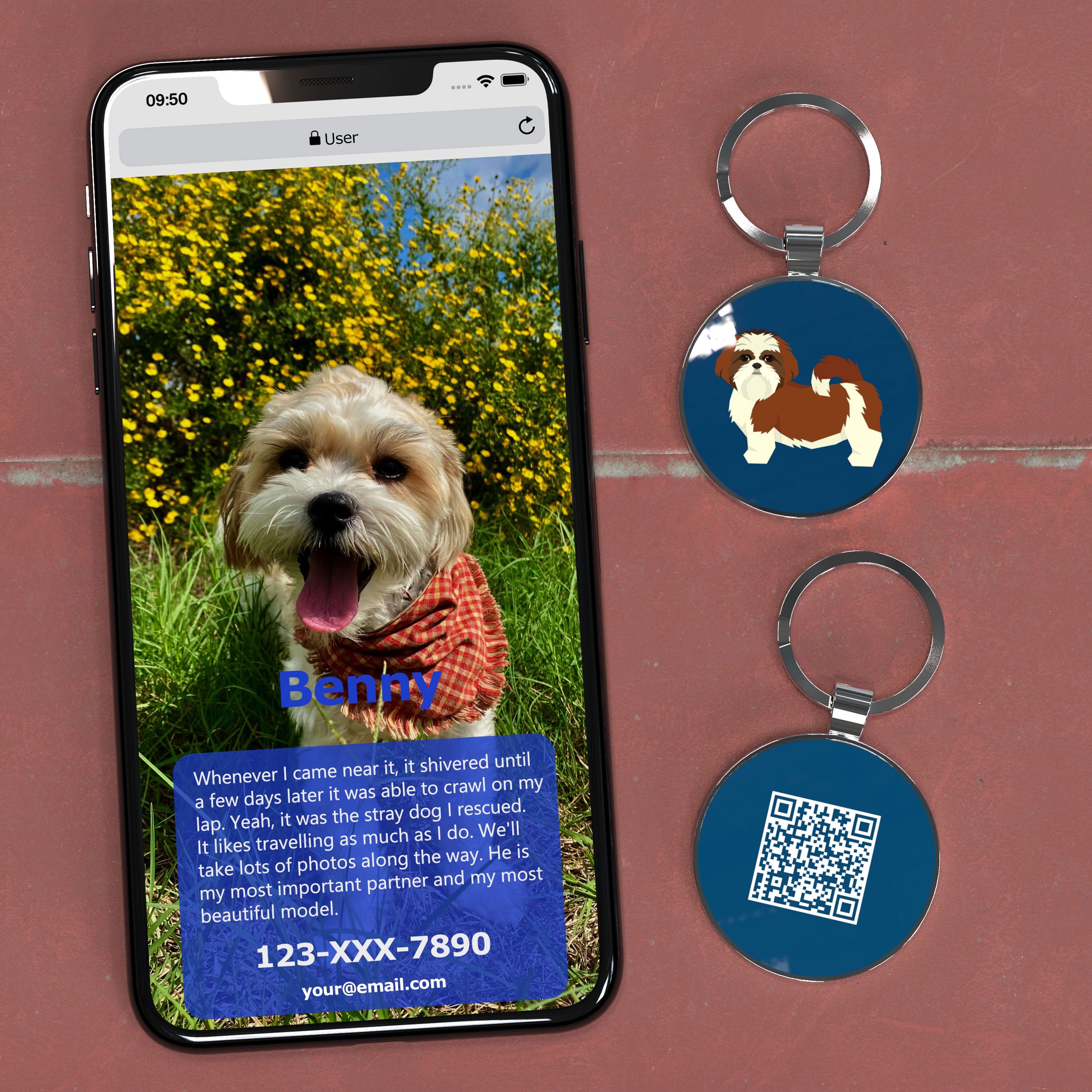 QR code pet tag Dog breeds tags-Shih Tzu